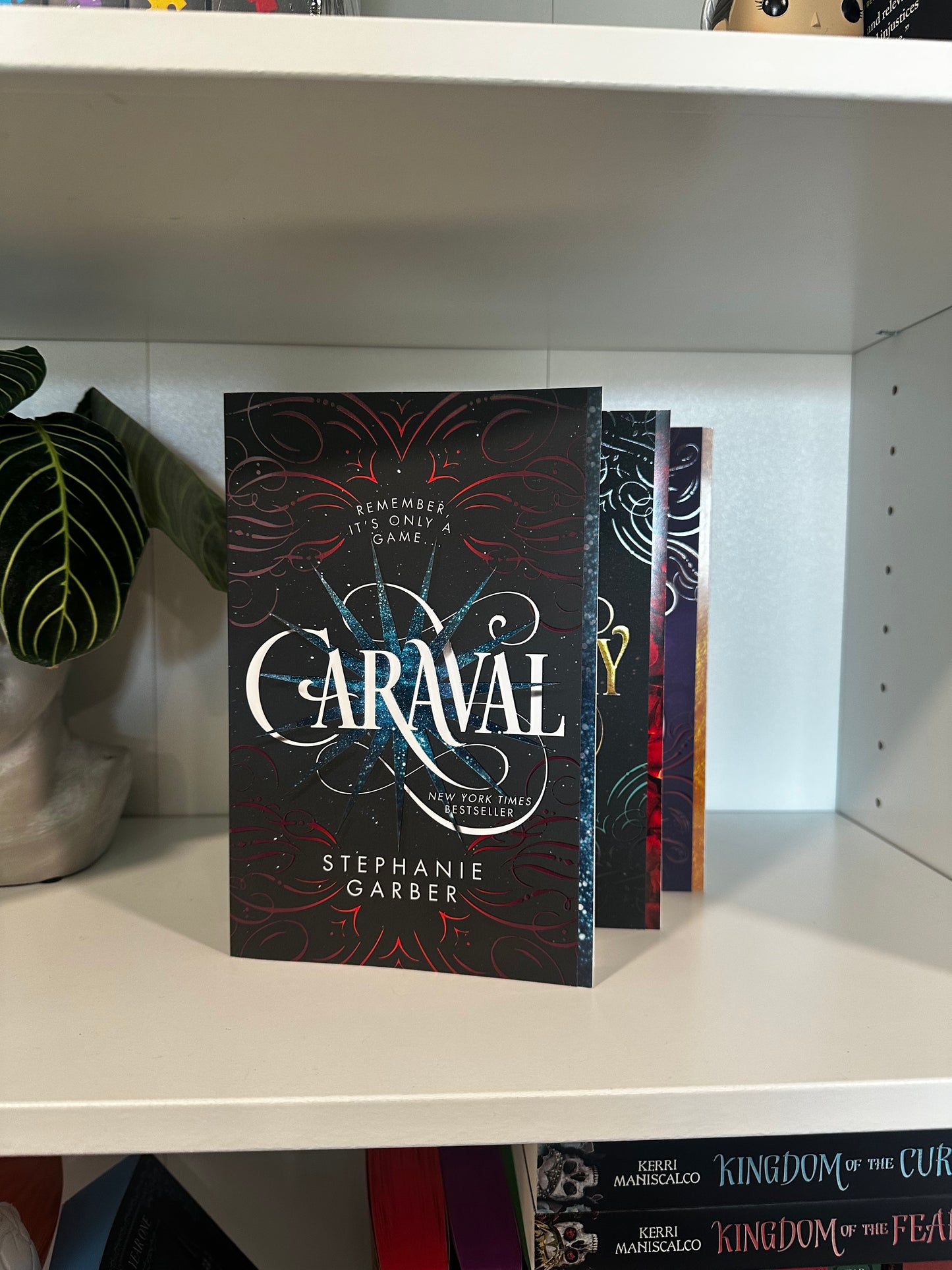 Series Book Bundles - Multiple Genres! - Chapters & Chances