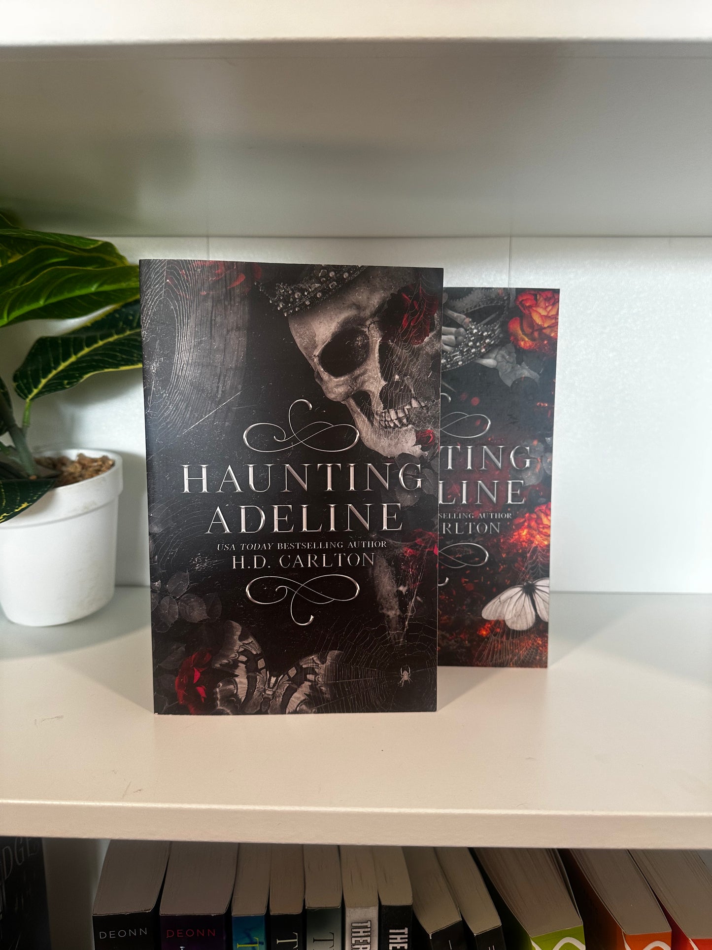 Series Book Bundles - Multiple Genres! - Chapters & Chances