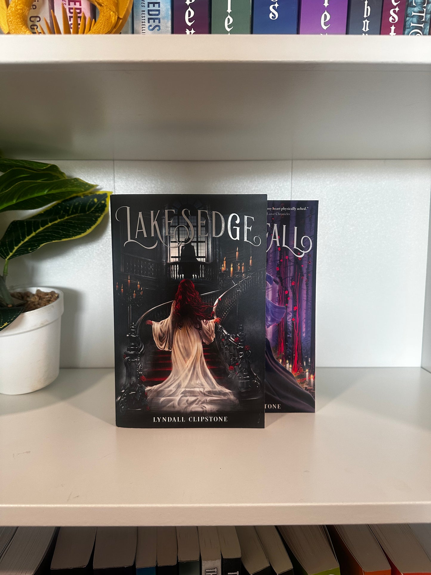 Series Book Bundles - Multiple Genres! - Chapters & Chances