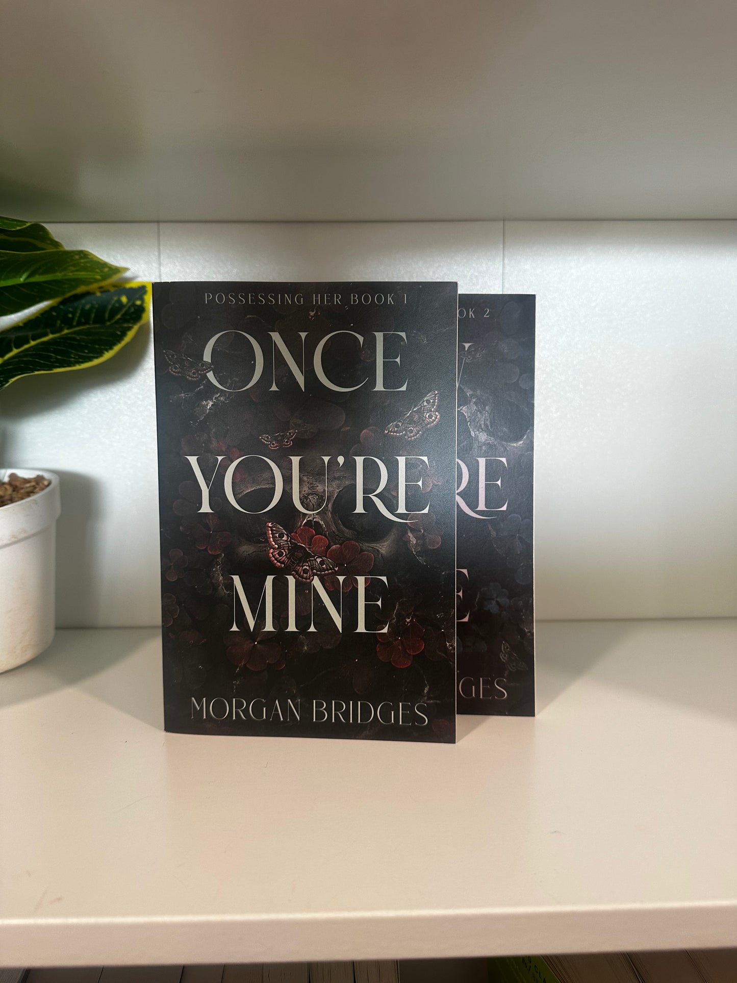 Series Book Bundles - Multiple Genres! - Chapters & Chances