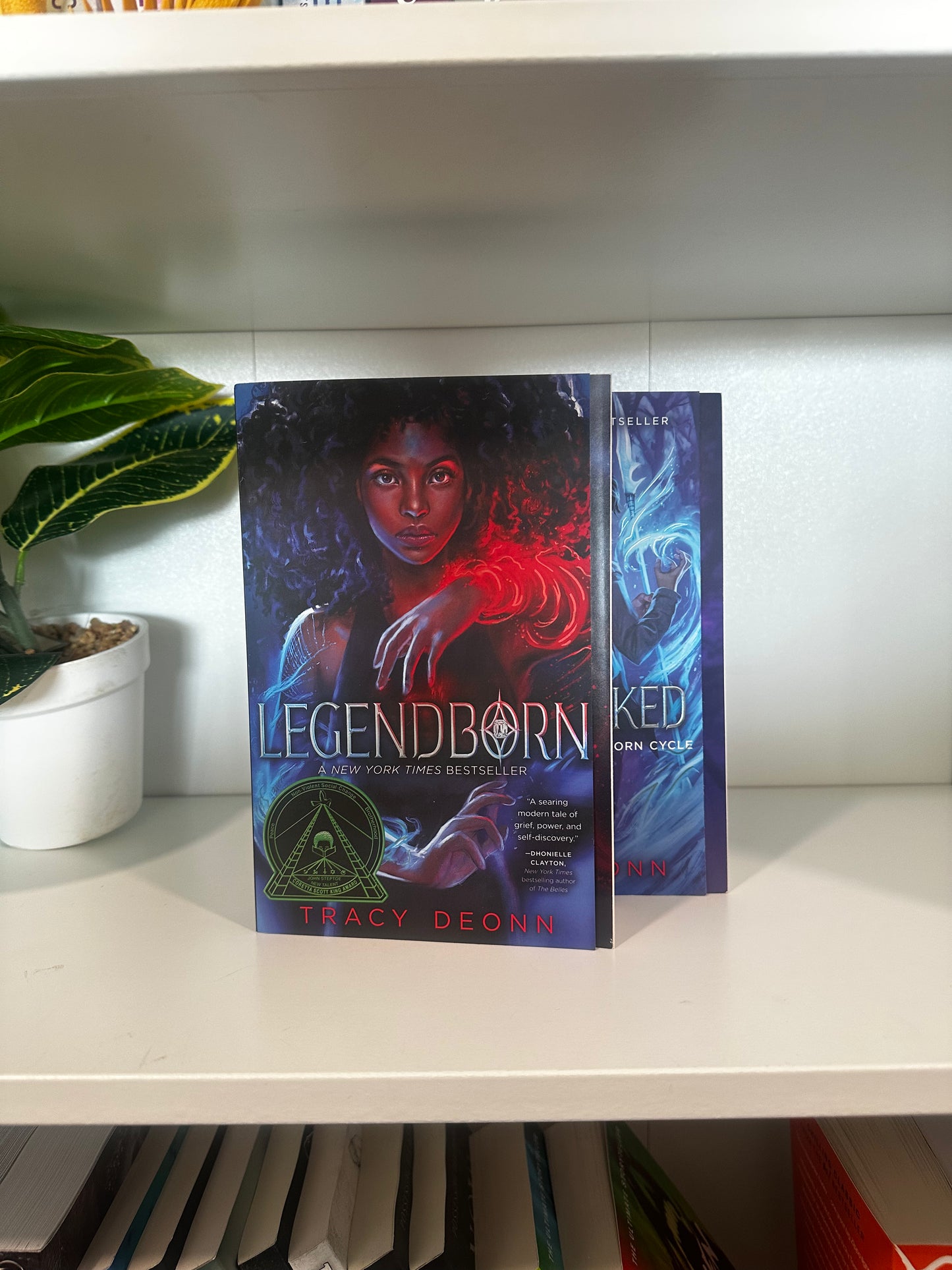 Series Book Bundles - Multiple Genres! - Chapters & Chances