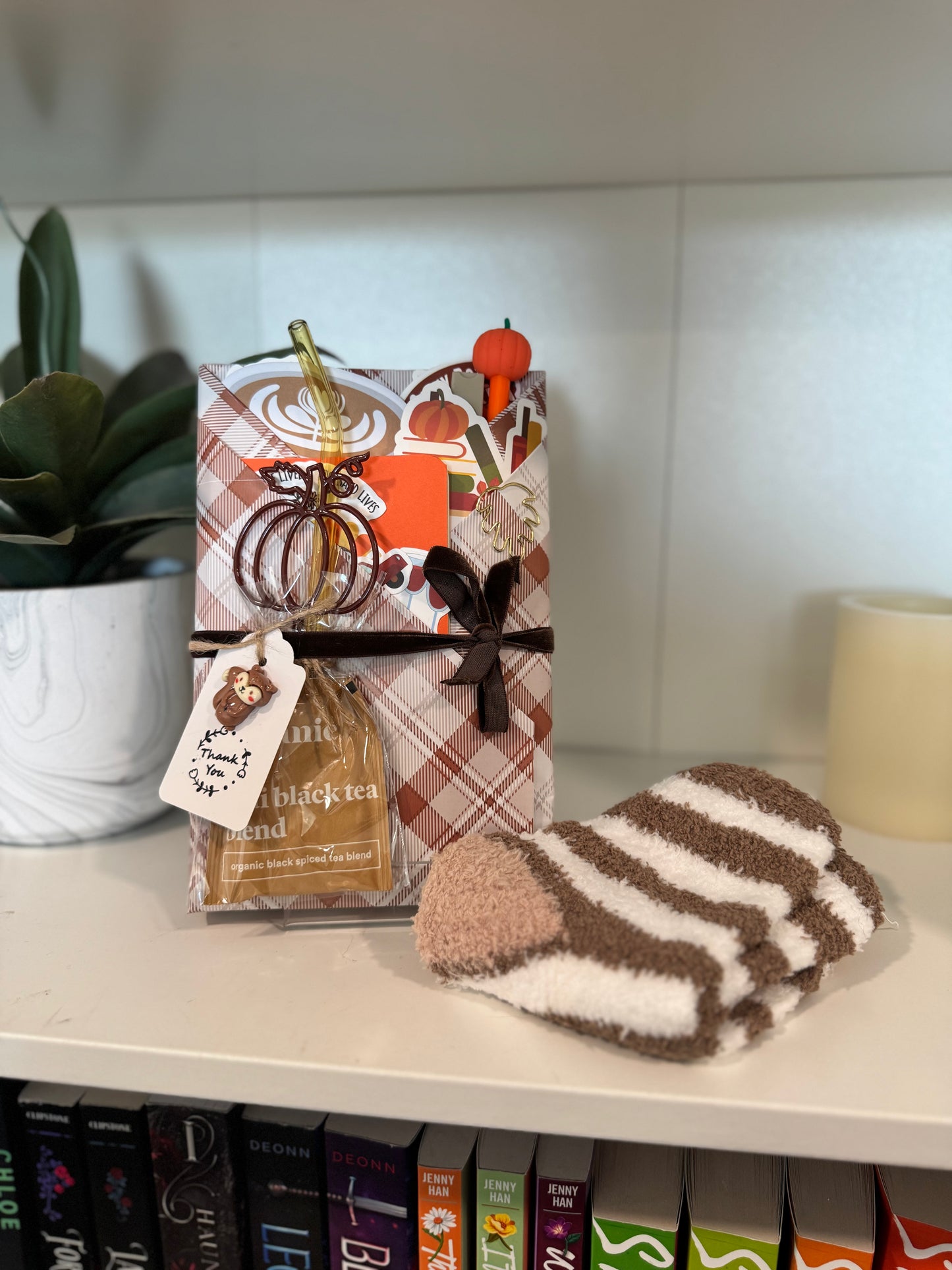 Fall Theme Blind Date with a Book Bundle