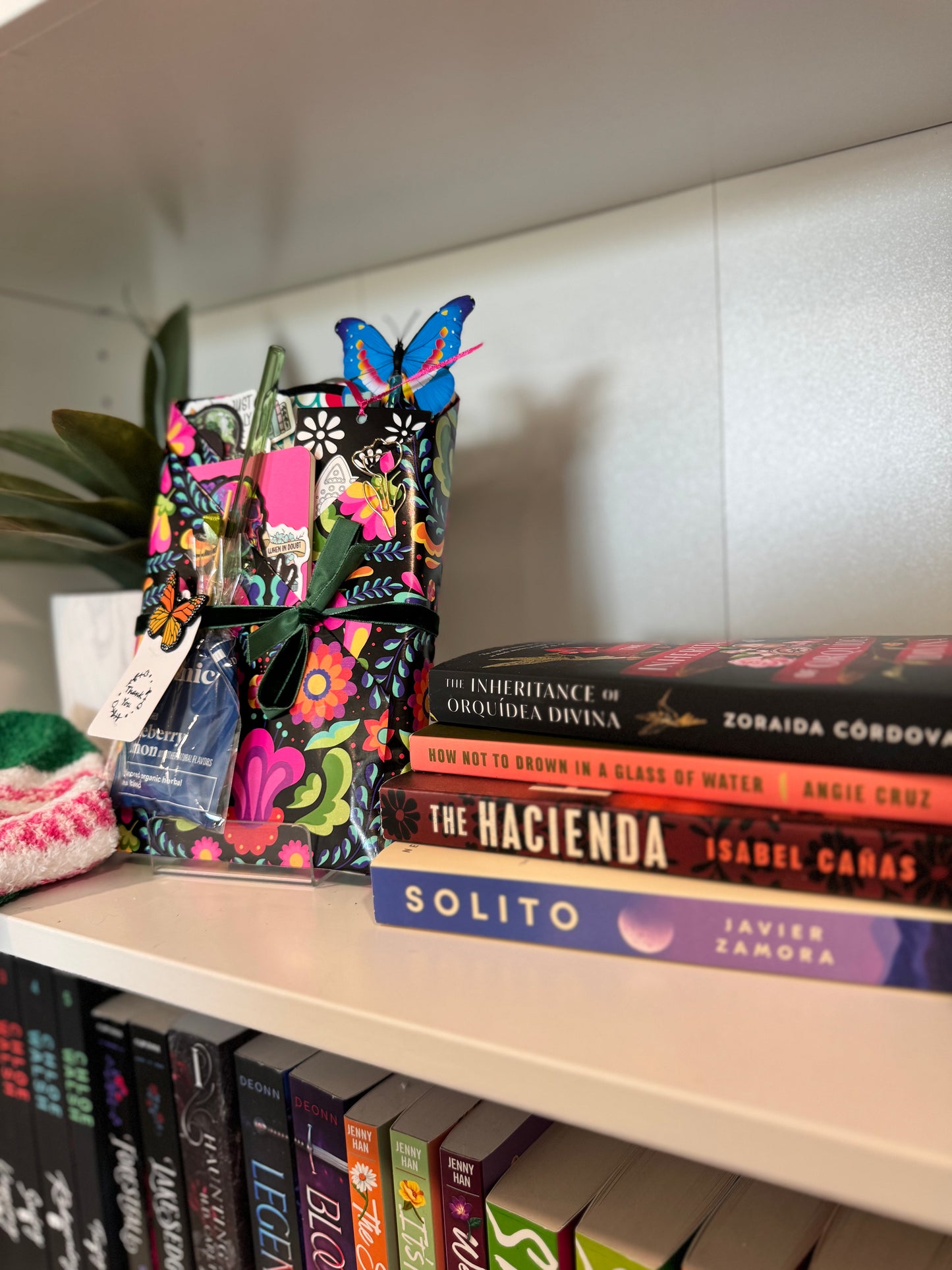 Dia De Los Muertos Theme Blind Date with a Book Bundle