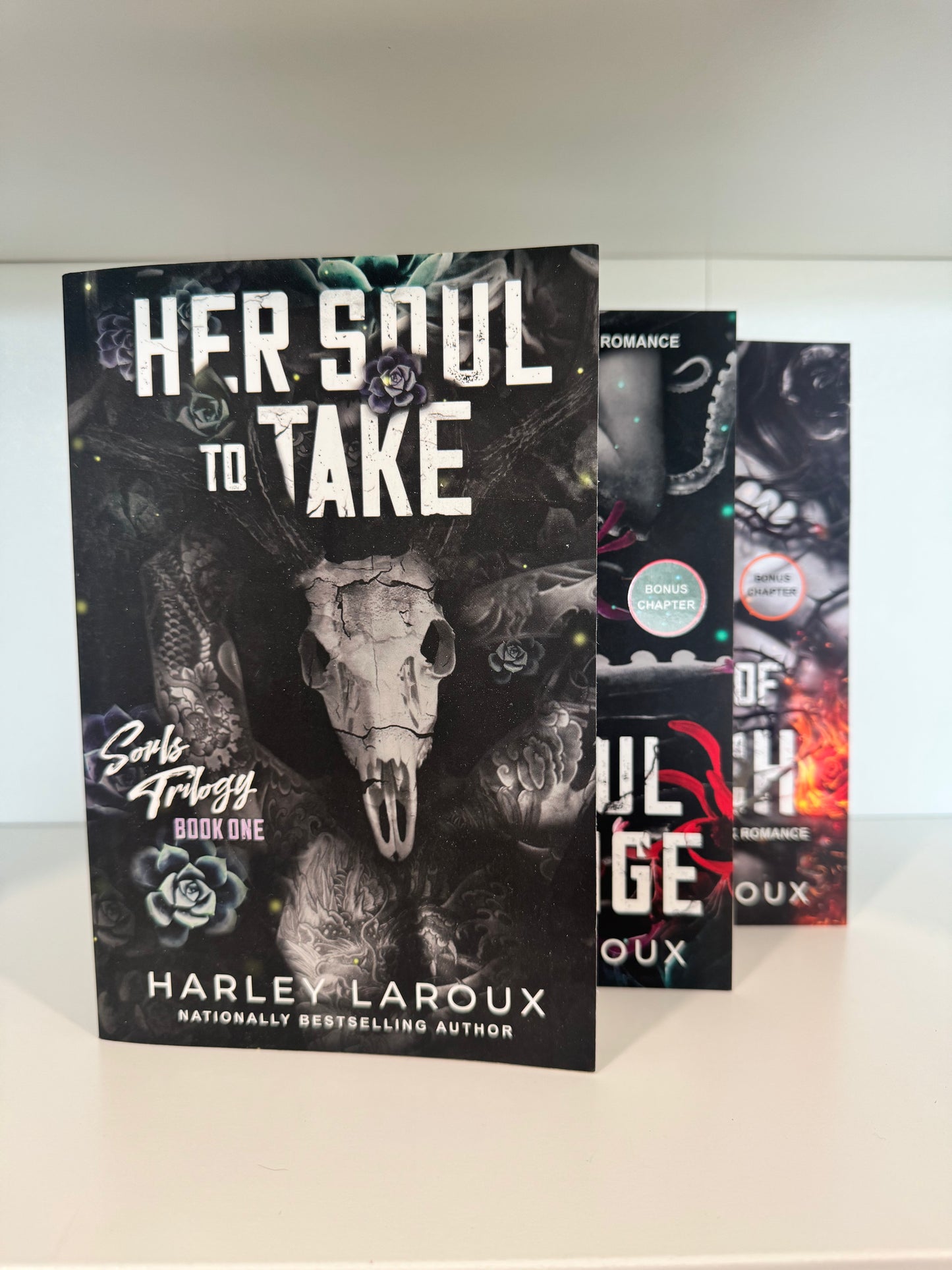 Series Book Bundles - Multiple Genres! - Chapters & Chances