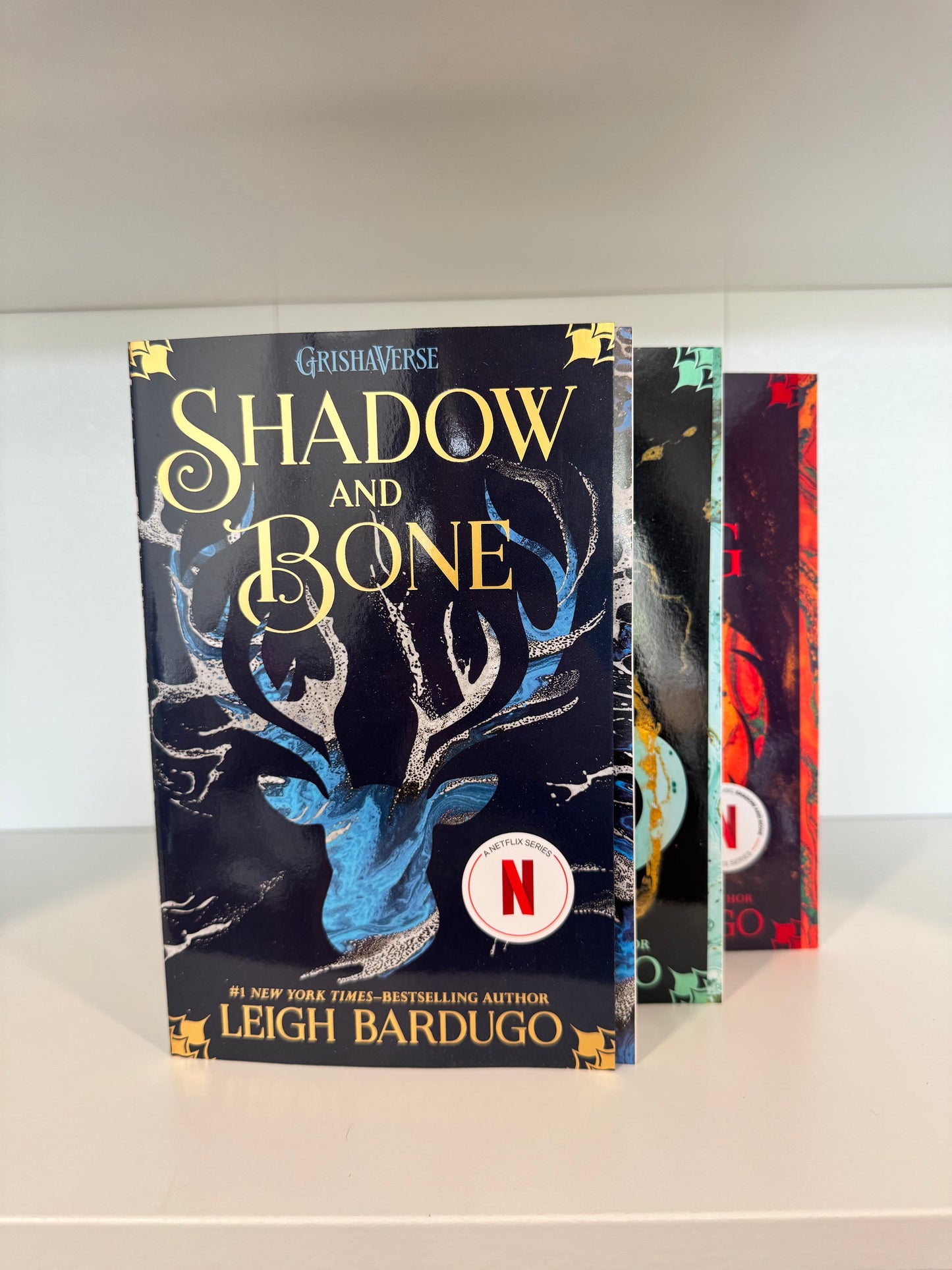 Series Book Bundles - Multiple Genres! - Chapters & Chances