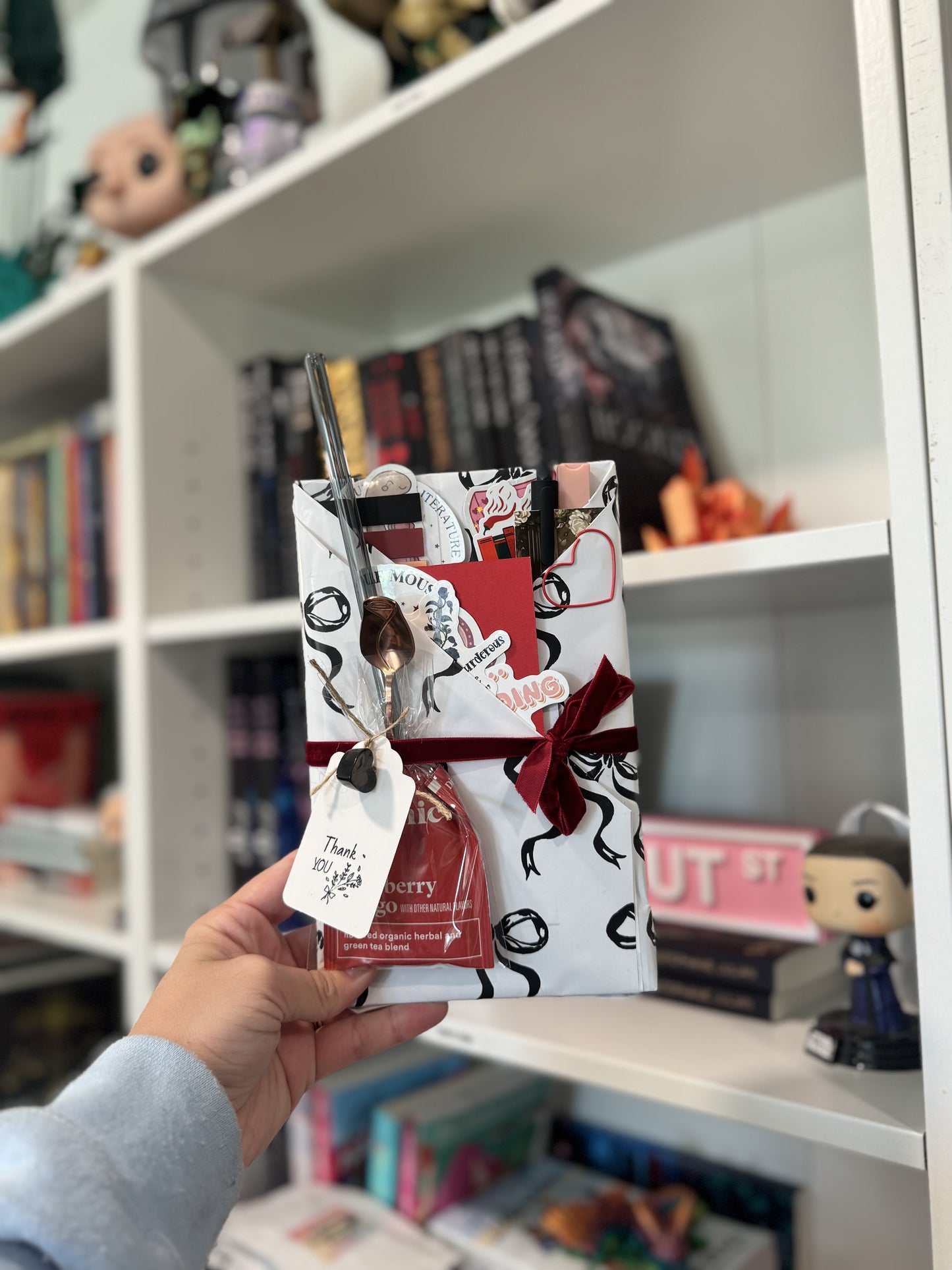 LIVE Build a Blind Date with a Book Bundle - Cozy Edition with Soft Extras & Exclusive Live Experience