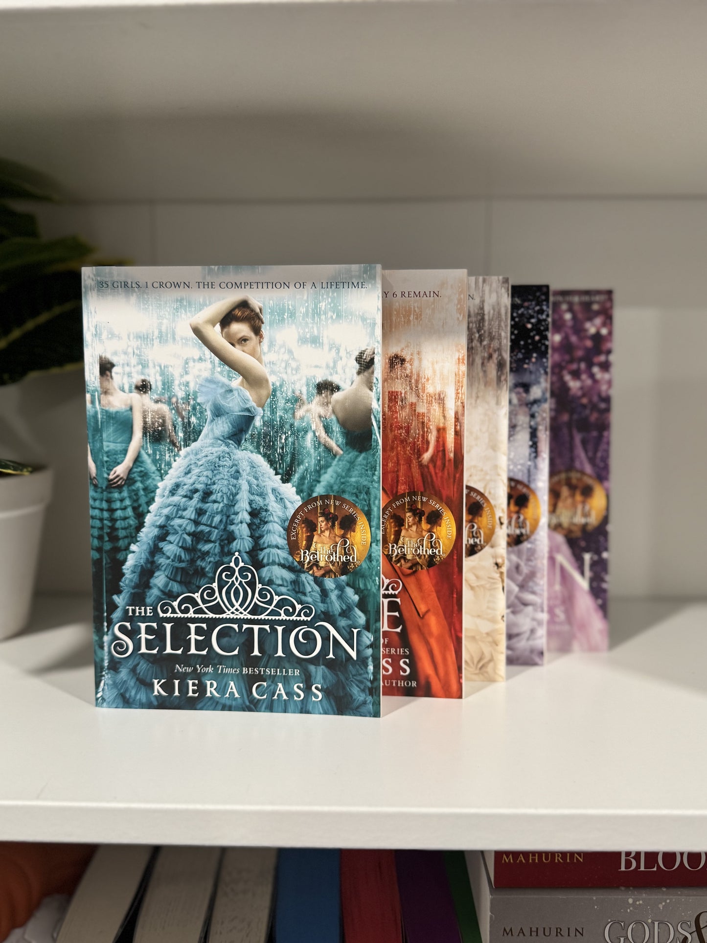 Series Book Bundles - Multiple Genres! - Chapters & Chances