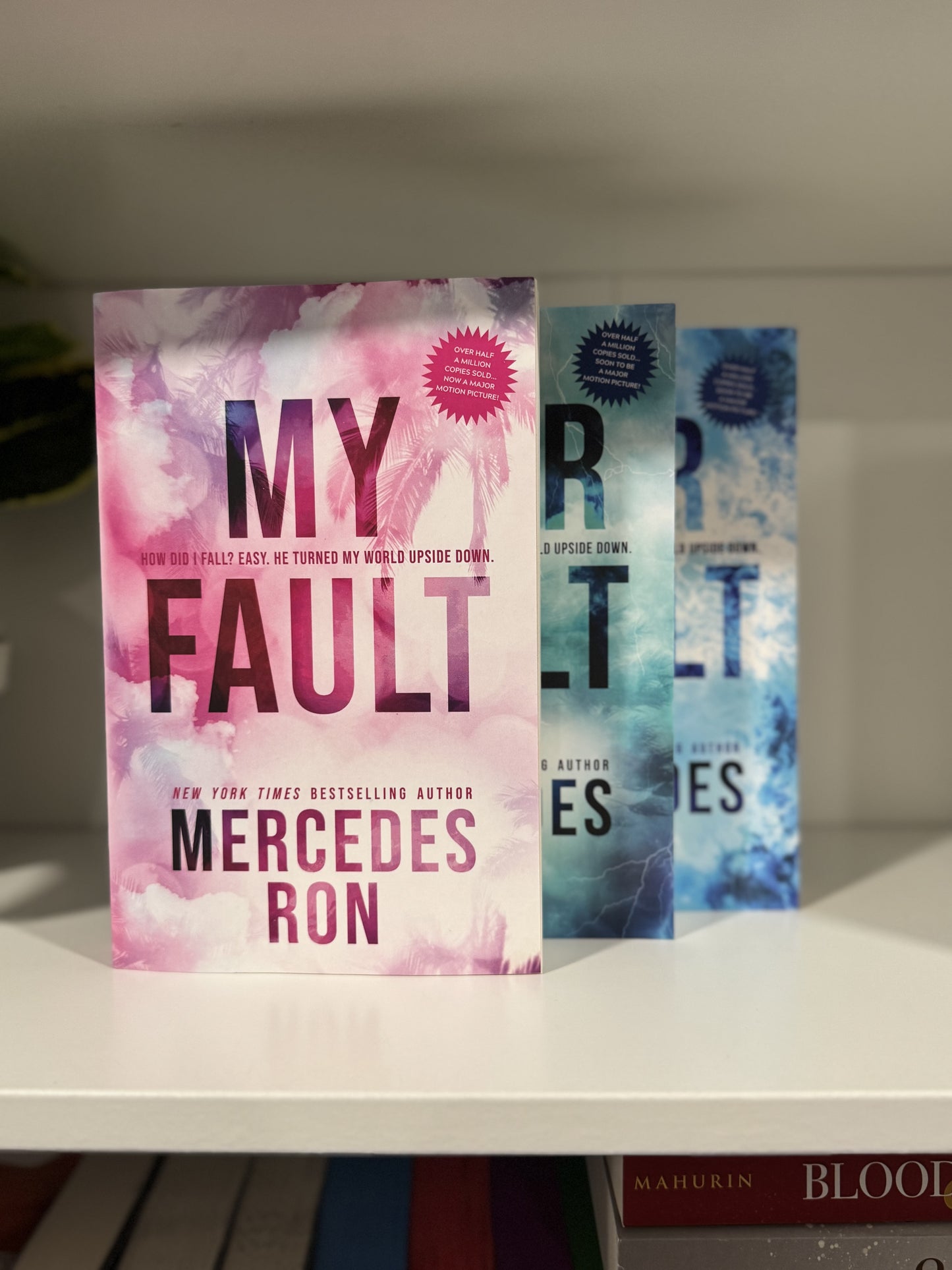 Series Book Bundles - Multiple Genres! - Chapters & Chances
