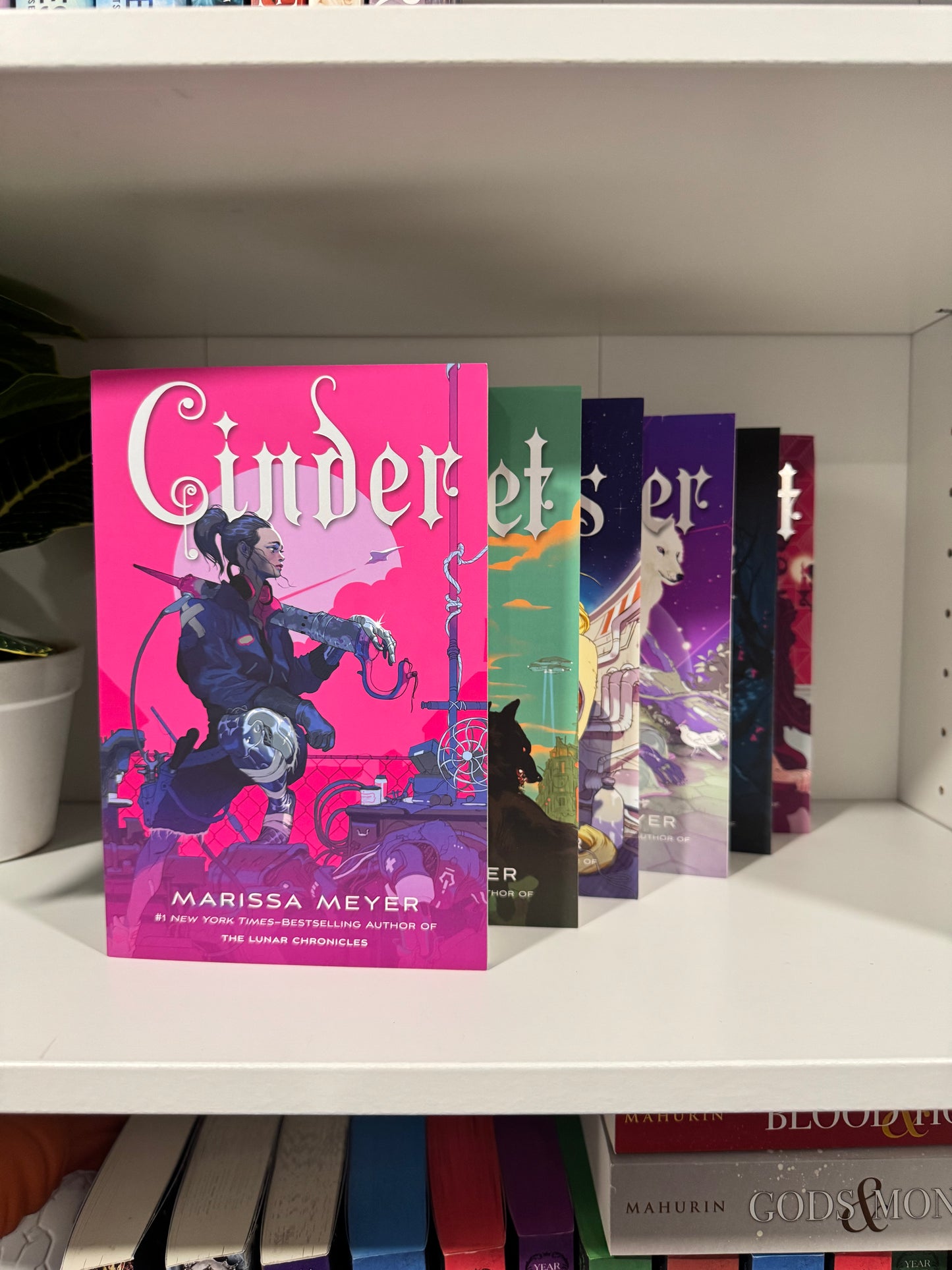 Series Book Bundles - Multiple Genres! - Chapters & Chances