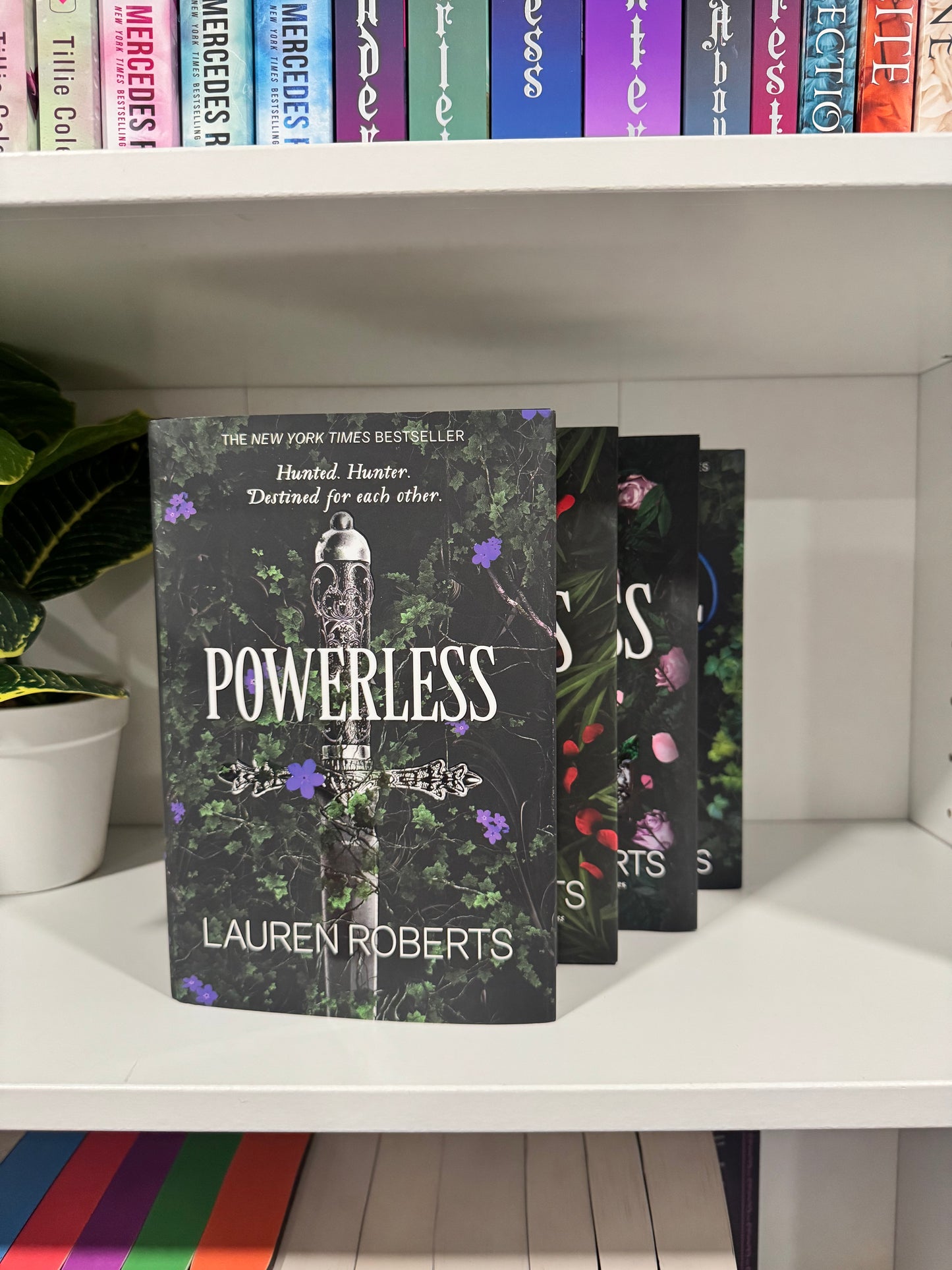 Series Book Bundles - Multiple Genres! - Chapters & Chances