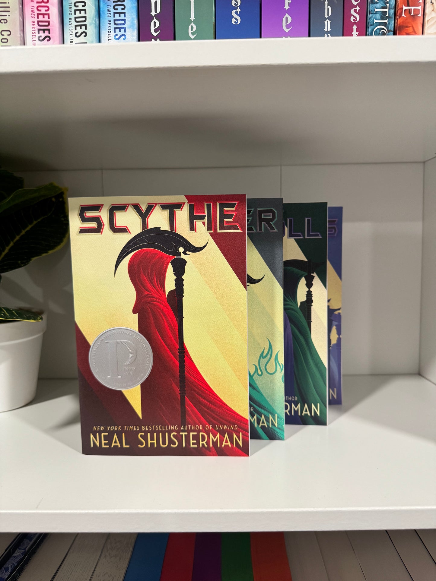 Series Book Bundles - Multiple Genres! - Chapters & Chances