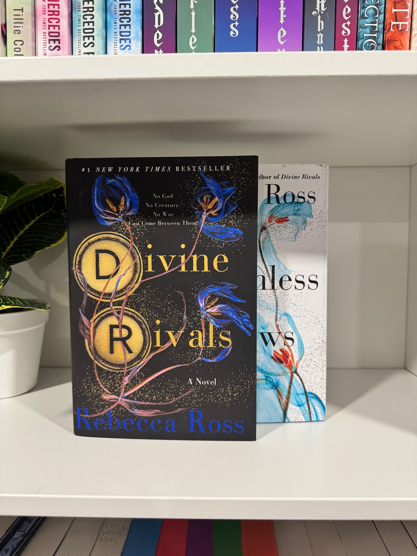 Series Book Bundles - Multiple Genres! - Chapters & Chances