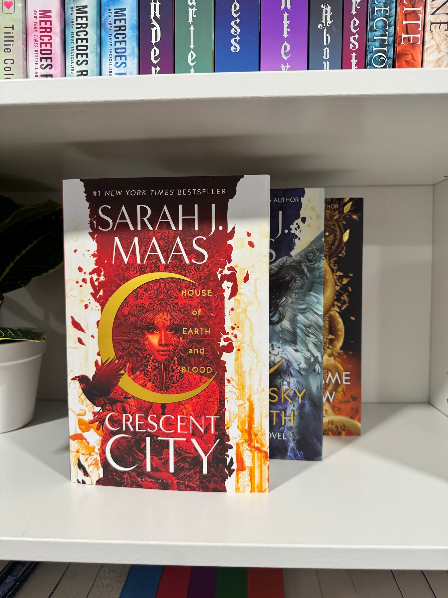 Series Book Bundles - Multiple Genres! - Chapters & Chances