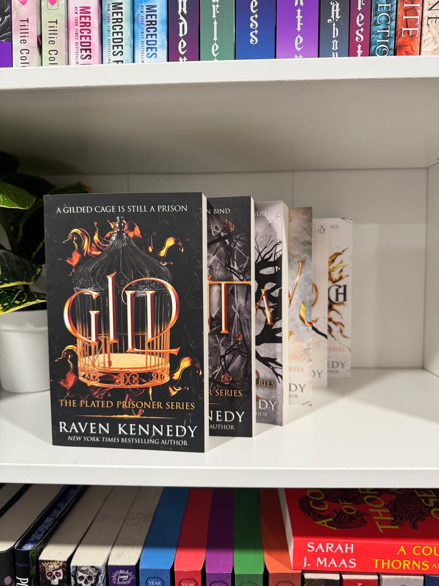 Series Book Bundles - Multiple Genres! - Chapters & Chances