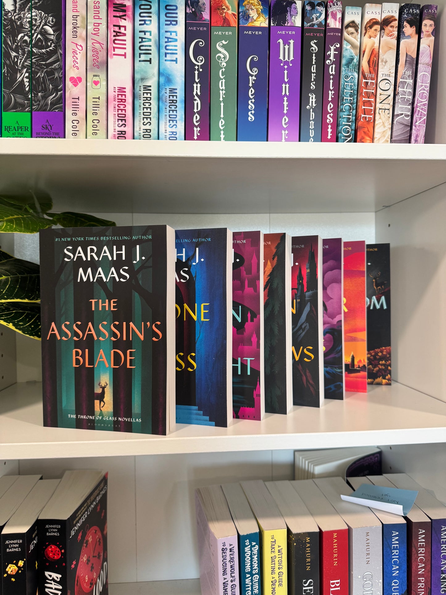 Series Book Bundles - Multiple Genres! - Chapters & Chances