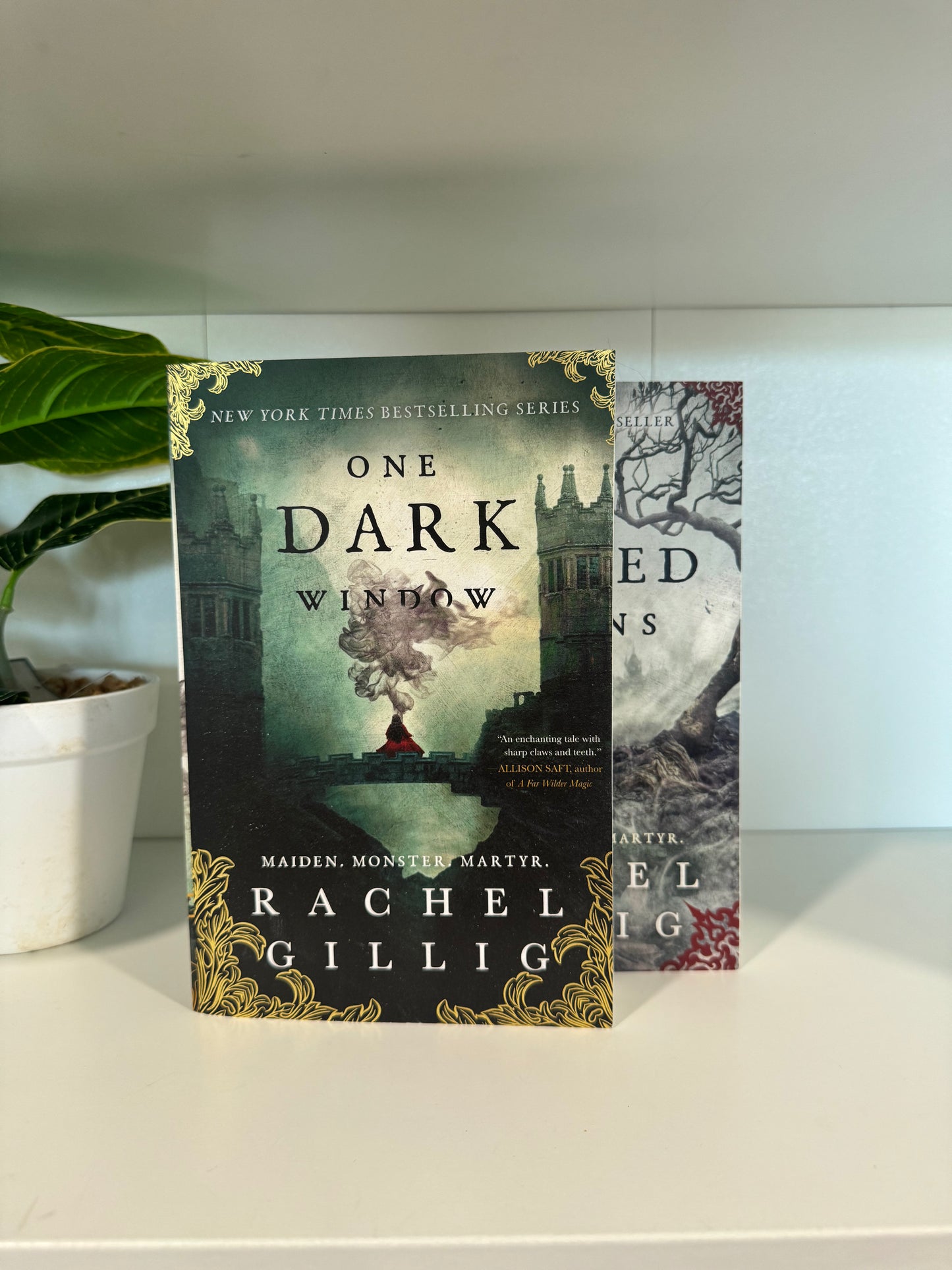 Series Book Bundles - Multiple Genres! - Chapters & Chances