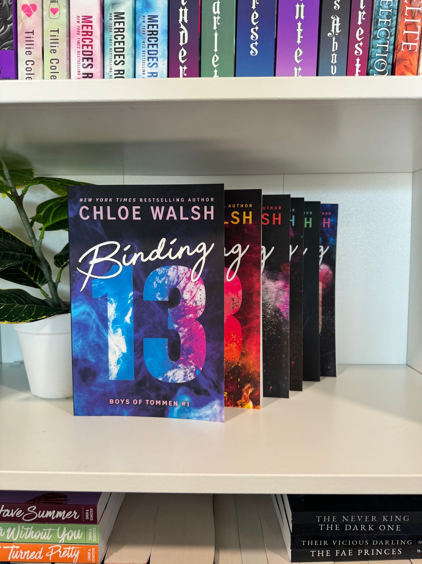 Series Book Bundles - Multiple Genres! - Chapters & Chances