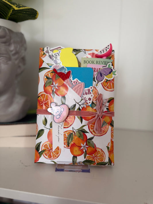 Summer Themed Blind Date with a Book Bundle - Chapters & Chances