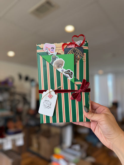 Standard Blind Date with a Book Bundle - Chapters & Chances
