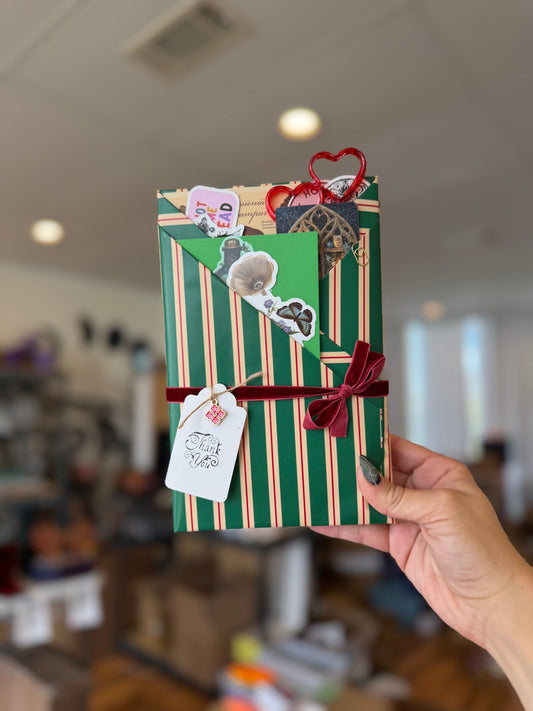 Standard Blind Date with a Book Bundle - Chapters & Chances
