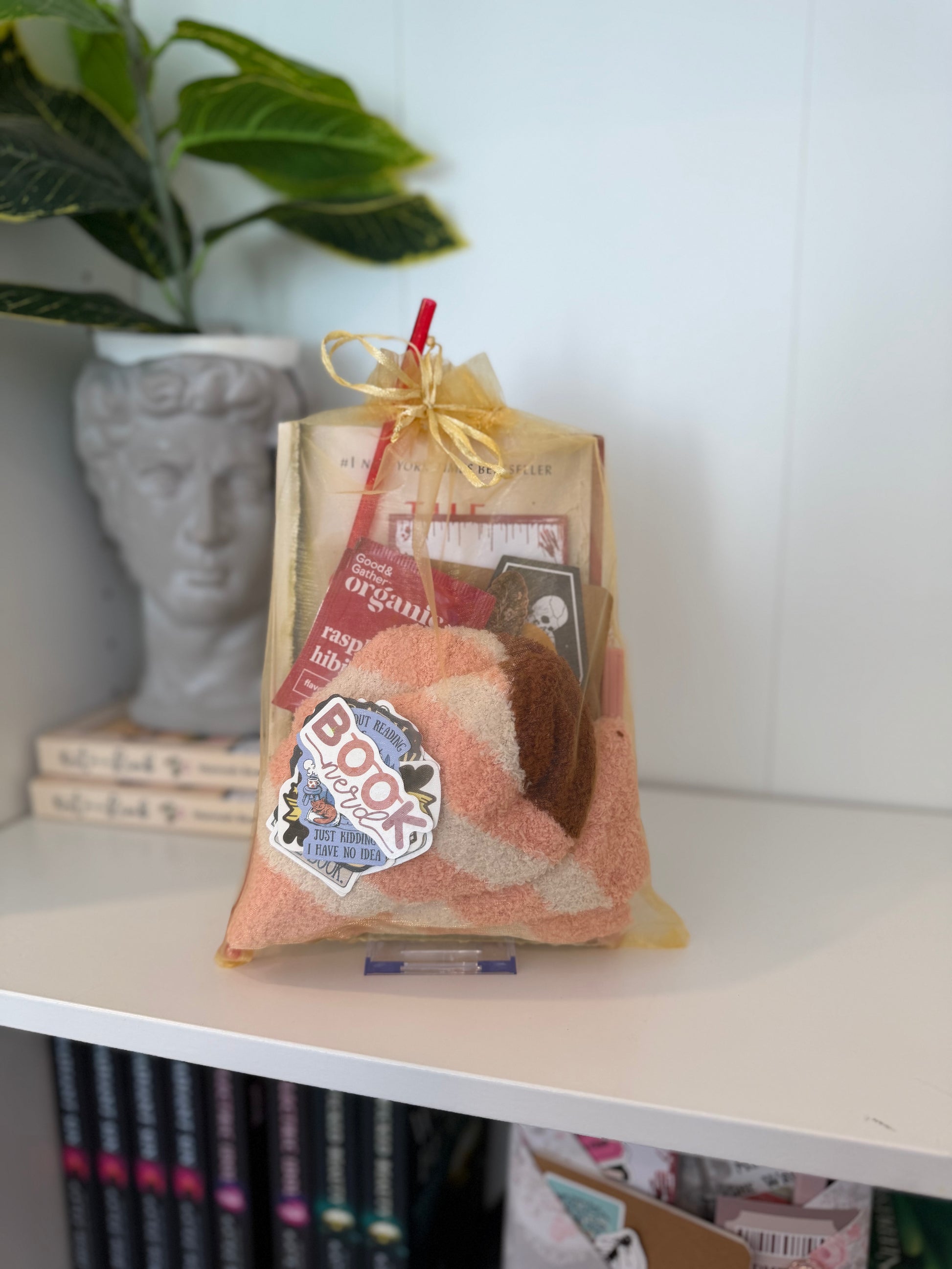 LIVE Unwrapped Pick Your Own Blind Date with a Book BOX - Chapters & Chances