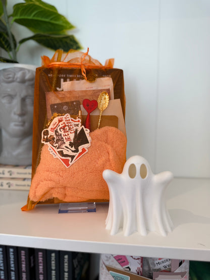 LIVE Unwrapped Pick Your Own Blind Date with a Book BOX - Chapters & Chances