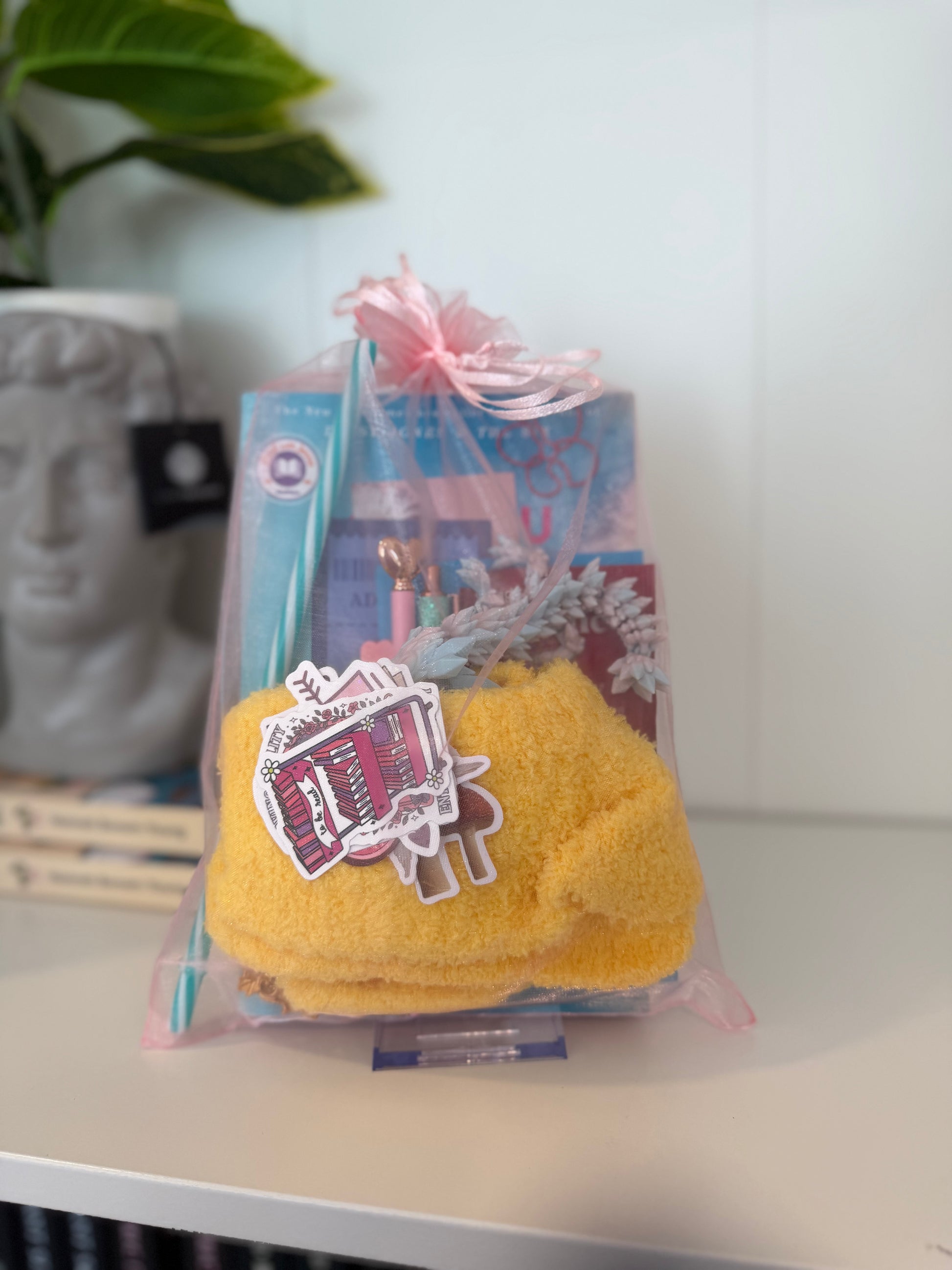 LIVE Unwrapped Pick Your Own Blind Date with a Book BOX - Chapters & Chances