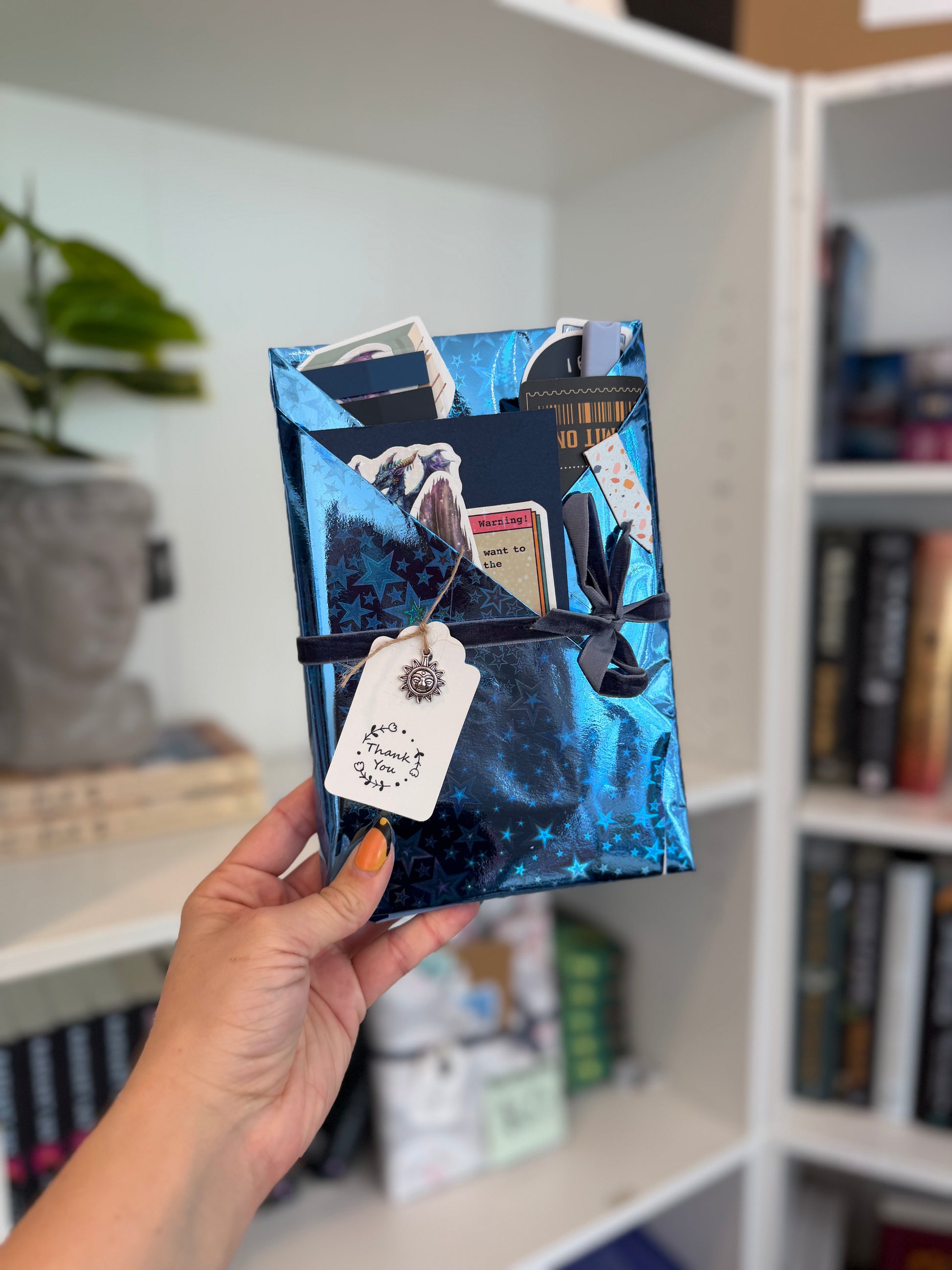 LIVE Pick Your Own Blind Date with a Book Bundle - Chapters & Chances