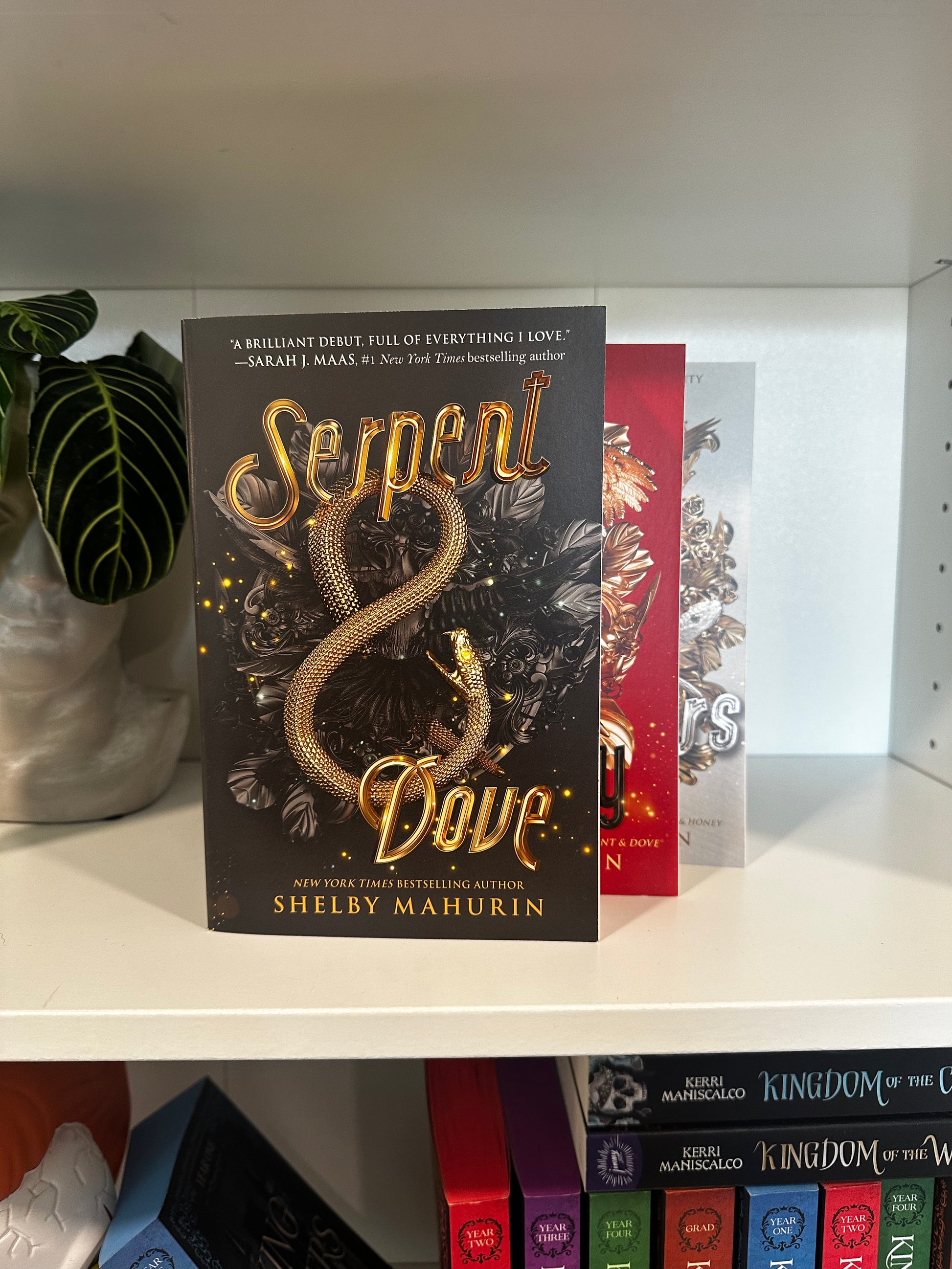 Series Book Bundles - Multiple Genres! - Chapters & Chances