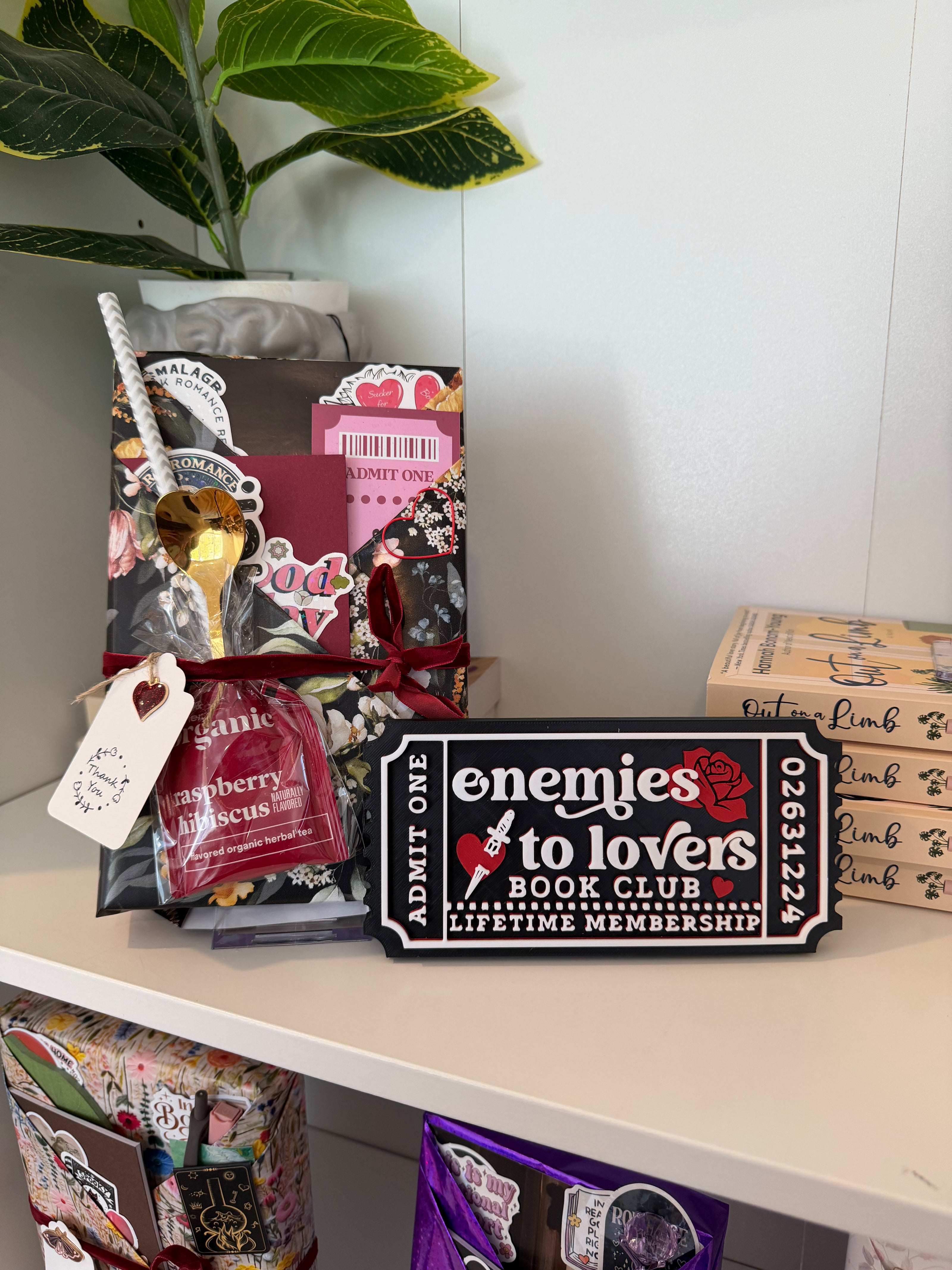 LIMITED RELEASE - Enemies to Lovers Trope Blind Date with a Book Box - Chapters & Chances