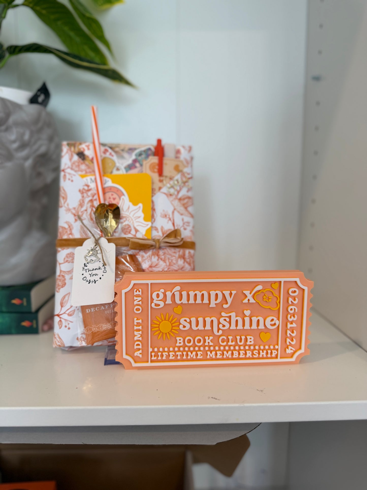 LIMITED RELEASE - Enemies to Lovers Trope Blind Date with a Book Box - Chapters & Chances