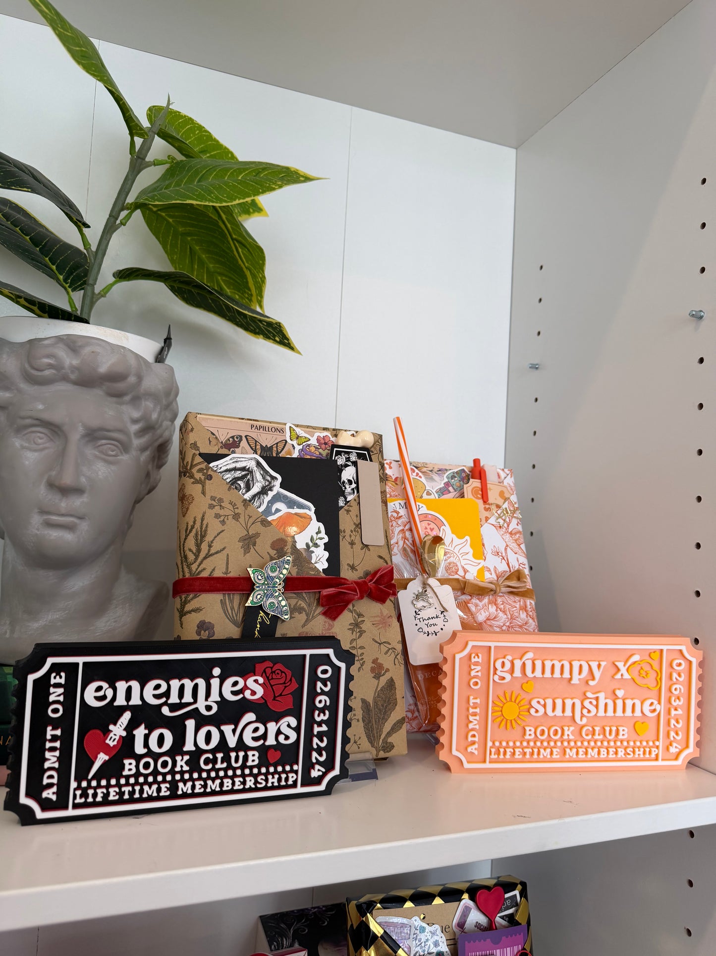 LIMITED RELEASE - Enemies to Lovers Trope Blind Date with a Book Box - Chapters & Chances