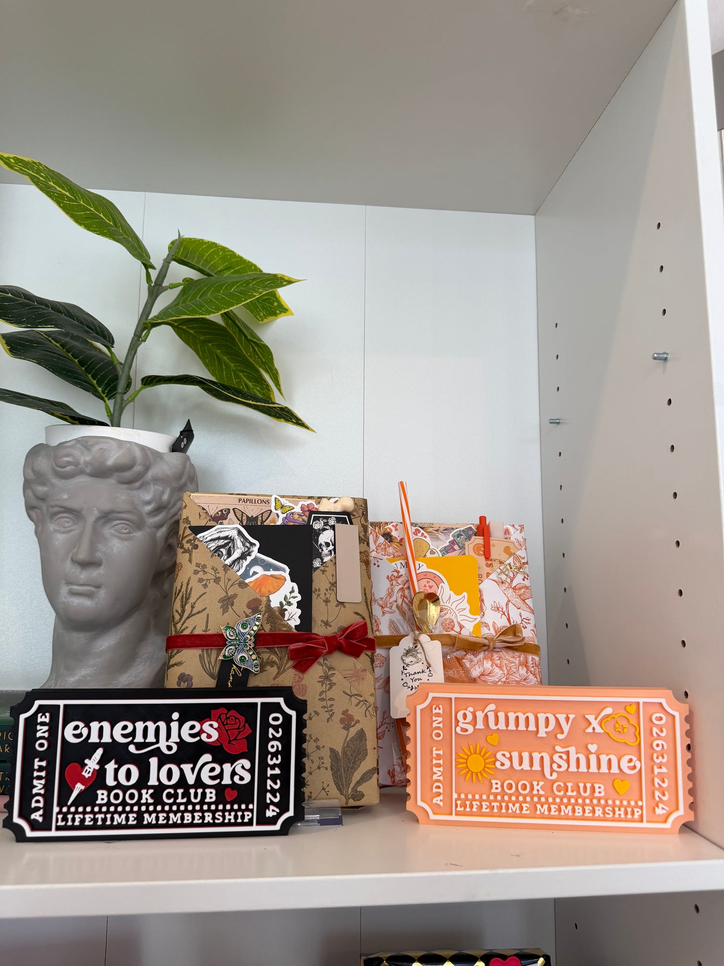 LIMITED RELEASE - Enemies to Lovers Trope Blind Date with a Book Box - Chapters & Chances