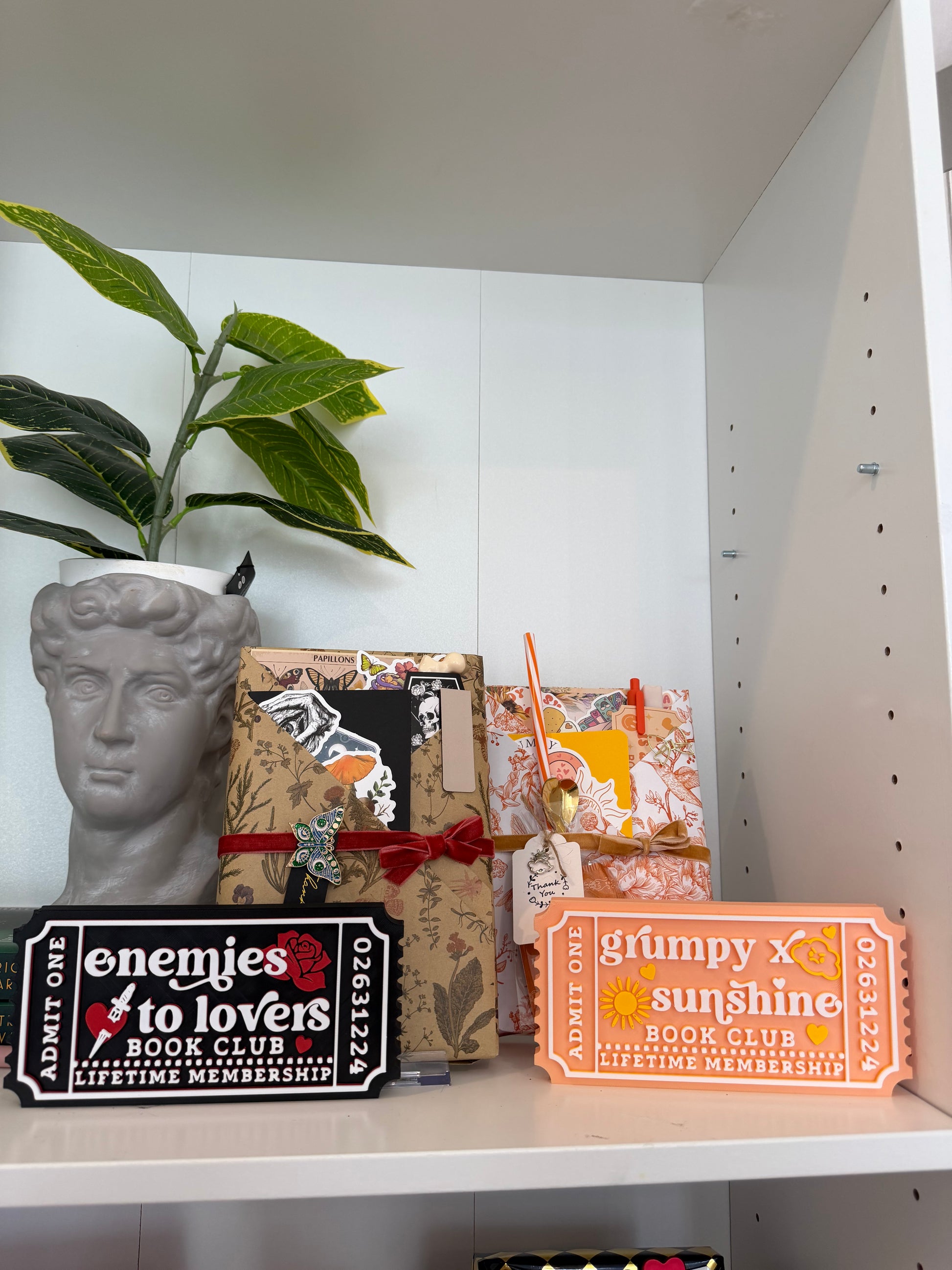 LIMITED RELEASE - Enemies to Lovers Trope Blind Date with a Book Box - Chapters & Chances
