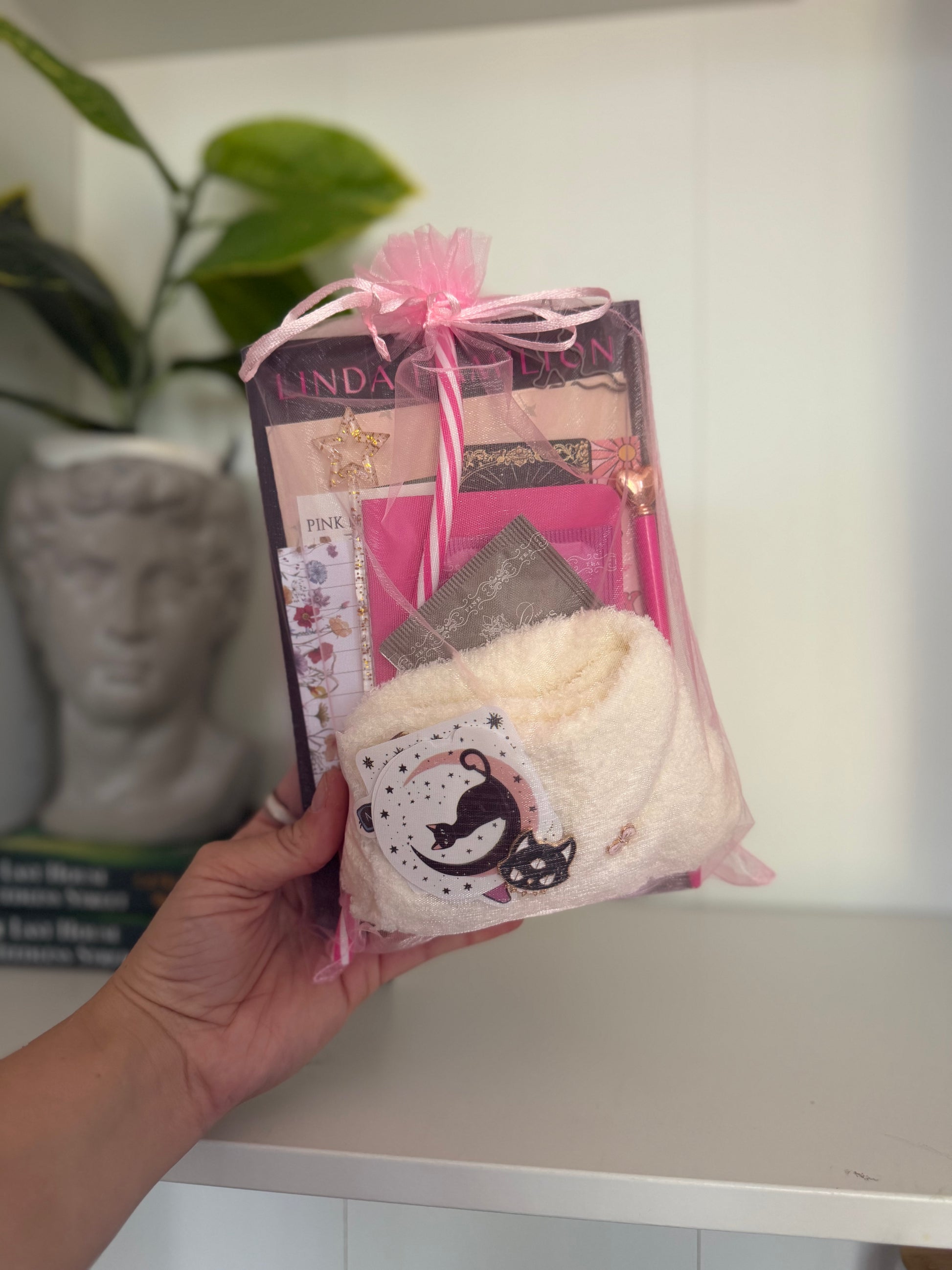 LIVE ONLY - Customize Your Own Bookish Box - Make into a TIKTOK! - Chapters & Chances