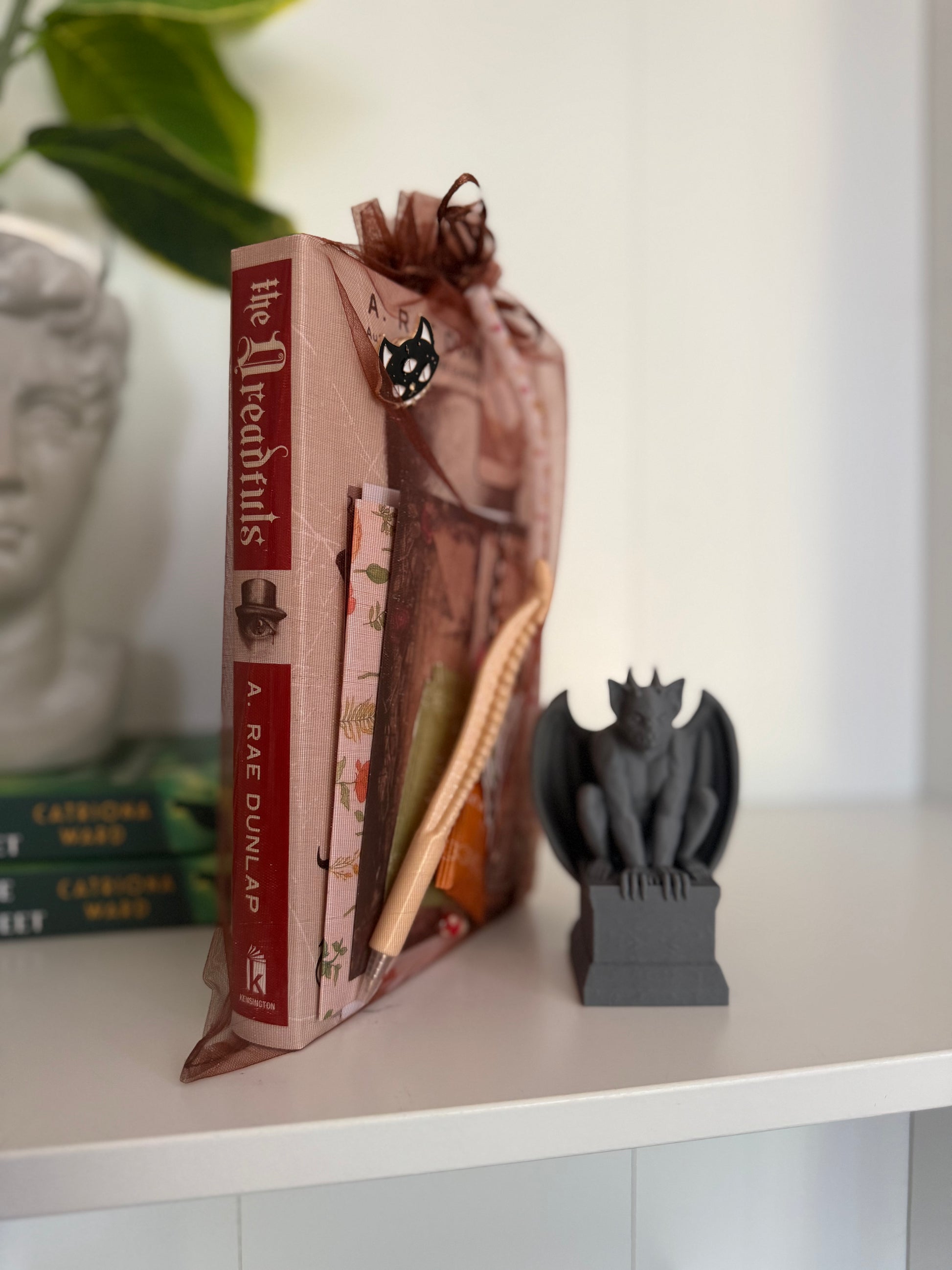 LIVE ONLY - Customize Your Own Bookish Box - Make into a TIKTOK! - Chapters & Chances