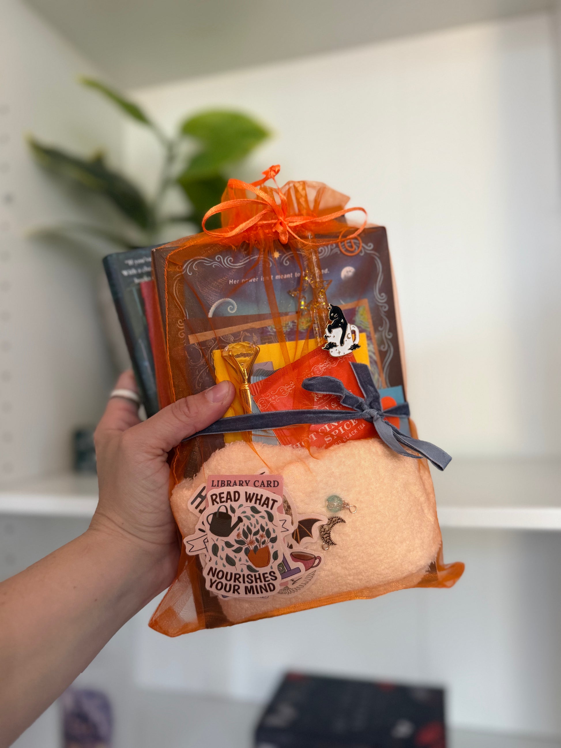 LIVE ONLY - Customize Your Own Bookish Box - Make into a TIKTOK! - Chapters & Chances