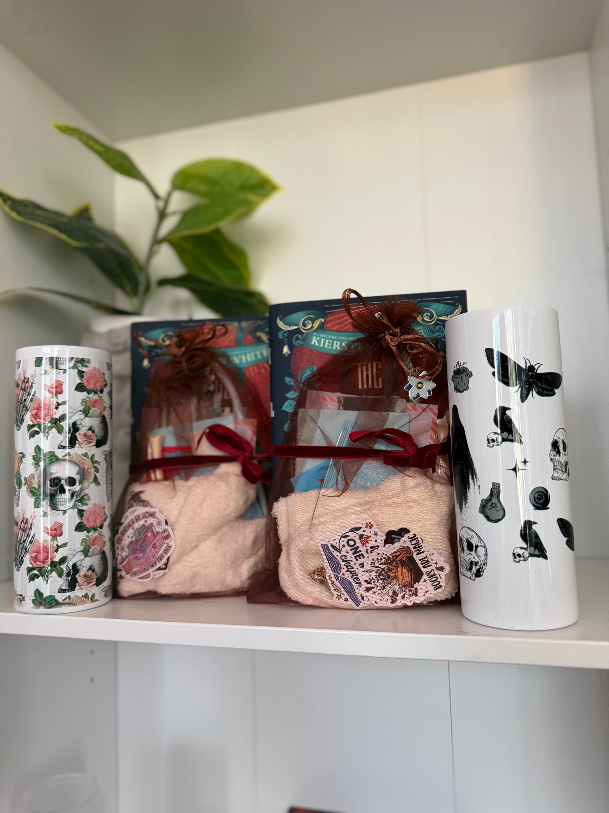 LIVE ONLY - Customize Your Own Bookish Box - Make into a TIKTOK! - Chapters & Chances