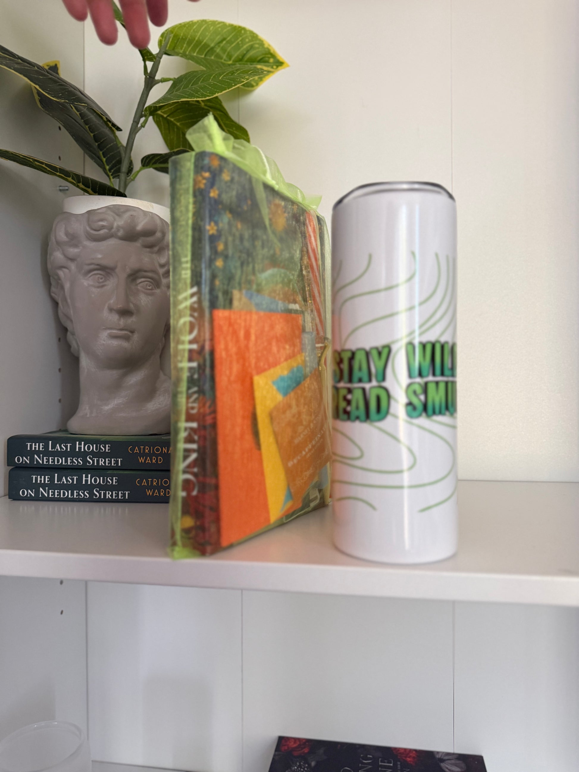 LIVE ONLY - Customize Your Own Bookish Box - Make into a TIKTOK! - Chapters & Chances