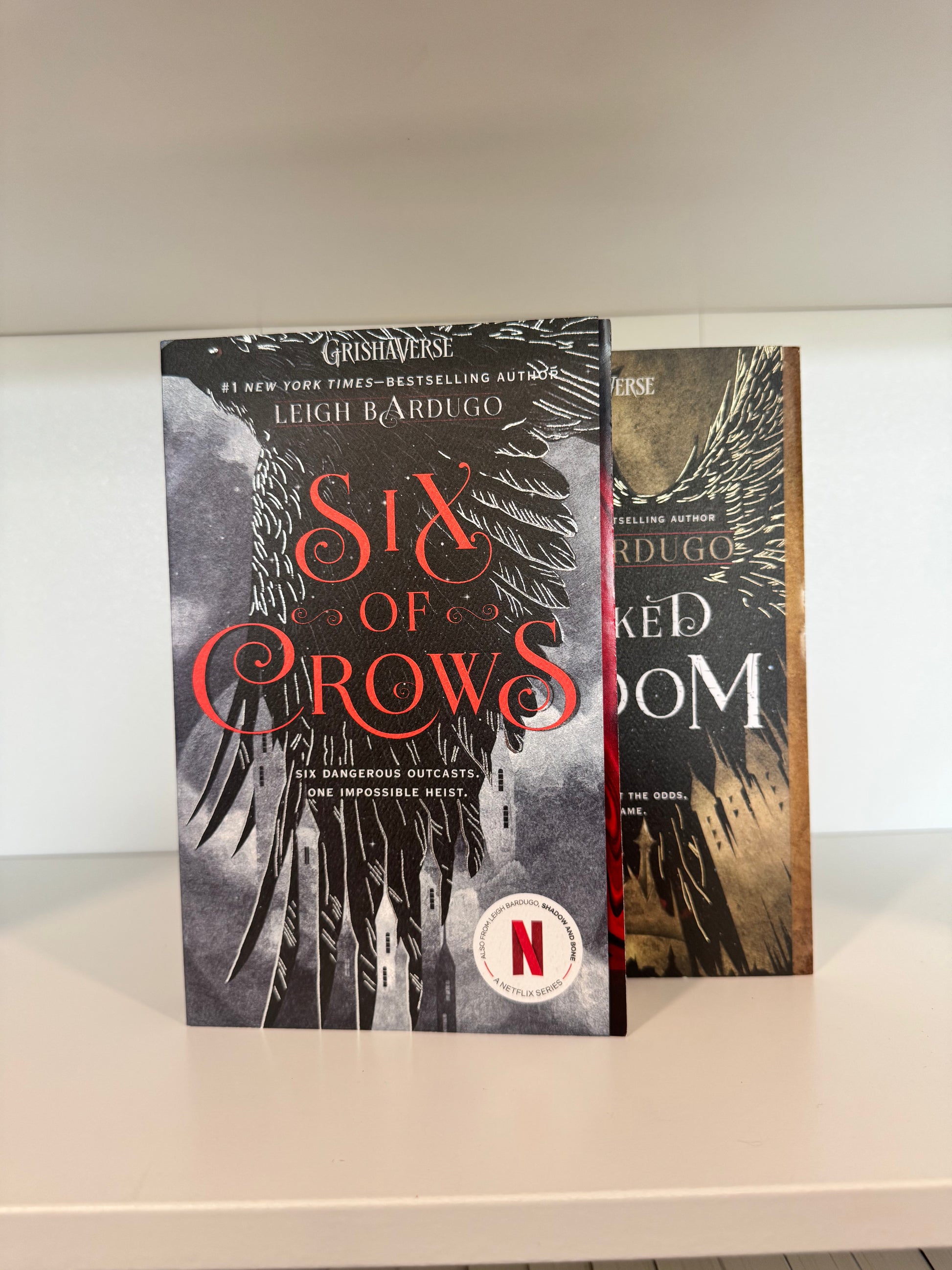 Series Book Bundles - Multiple Genres! - Chapters & Chances