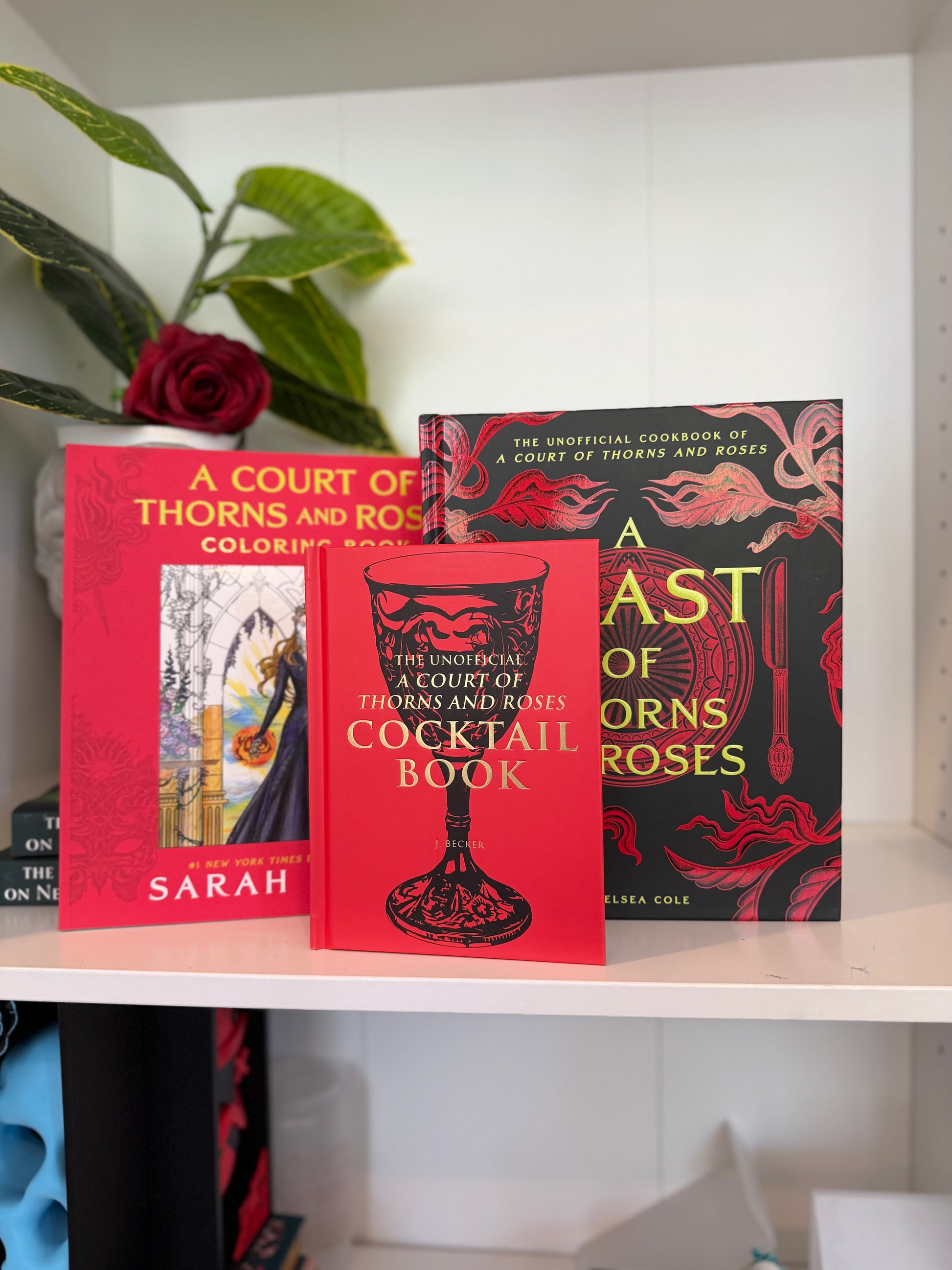 ACOTAR Accessories Book Box - Chapters & Chances