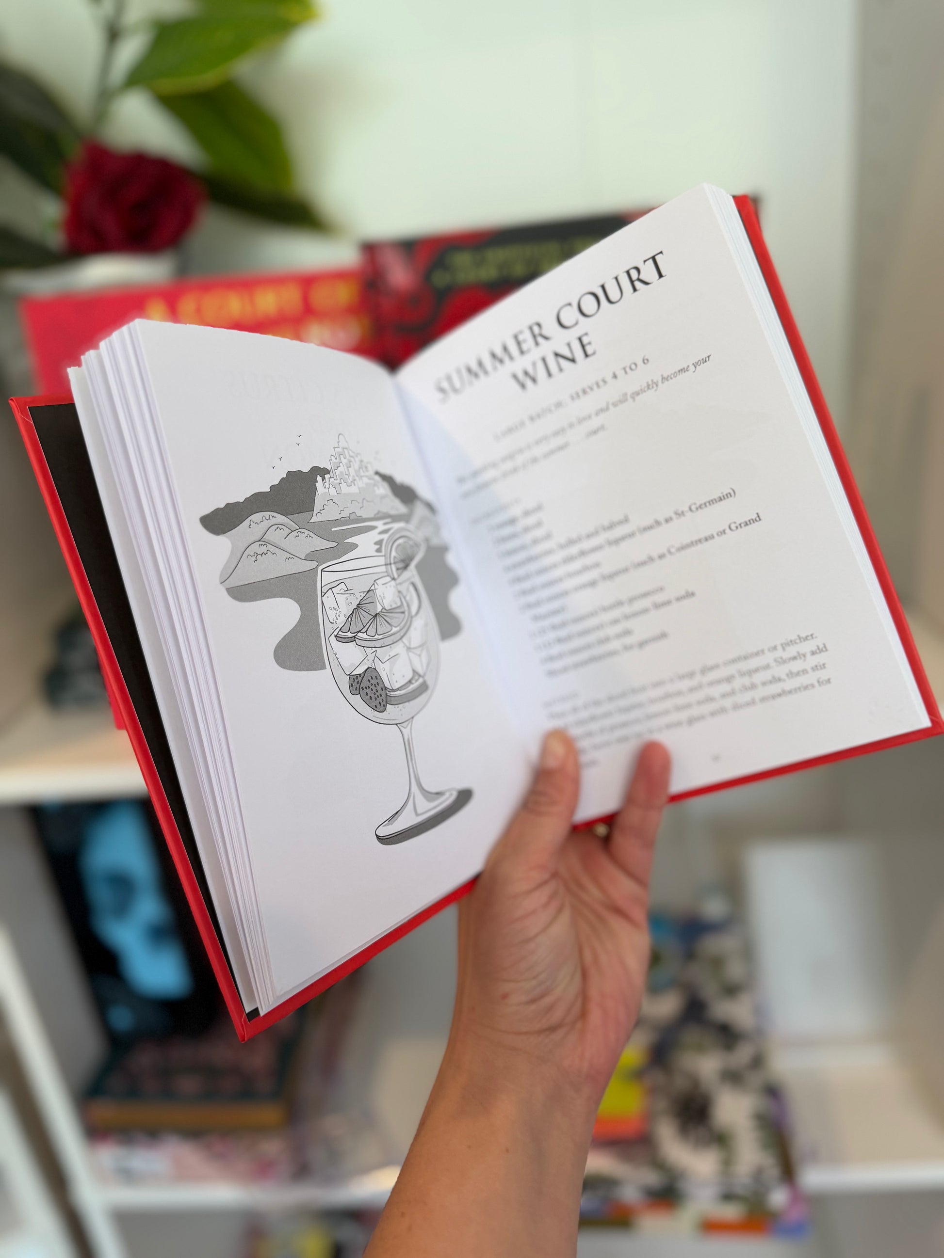 ACOTAR Accessories Book Box - Chapters & Chances