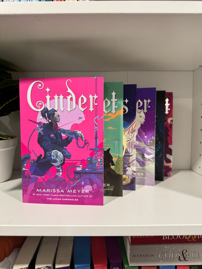 Series Book Bundles - Multiple Genres! - Chapters & Chances