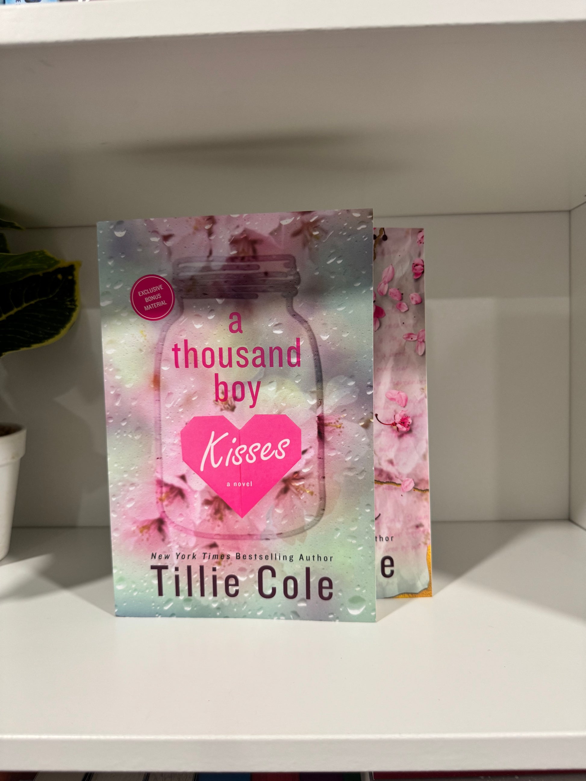 Series Book Bundles - Multiple Genres! - Chapters & Chances