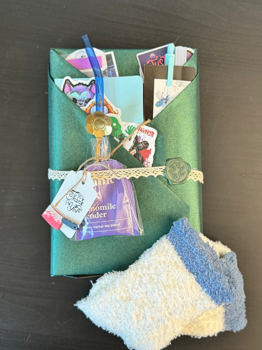NOSTALGIC OG Cozy Blind Date with a Book Bundle