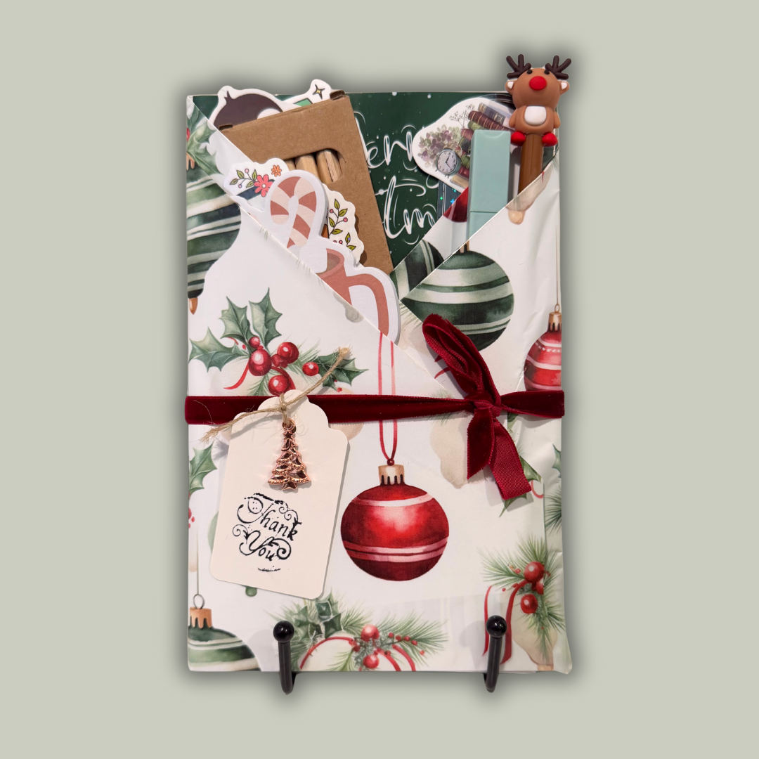 Christmas Theme Blind Date with a Book Bundle